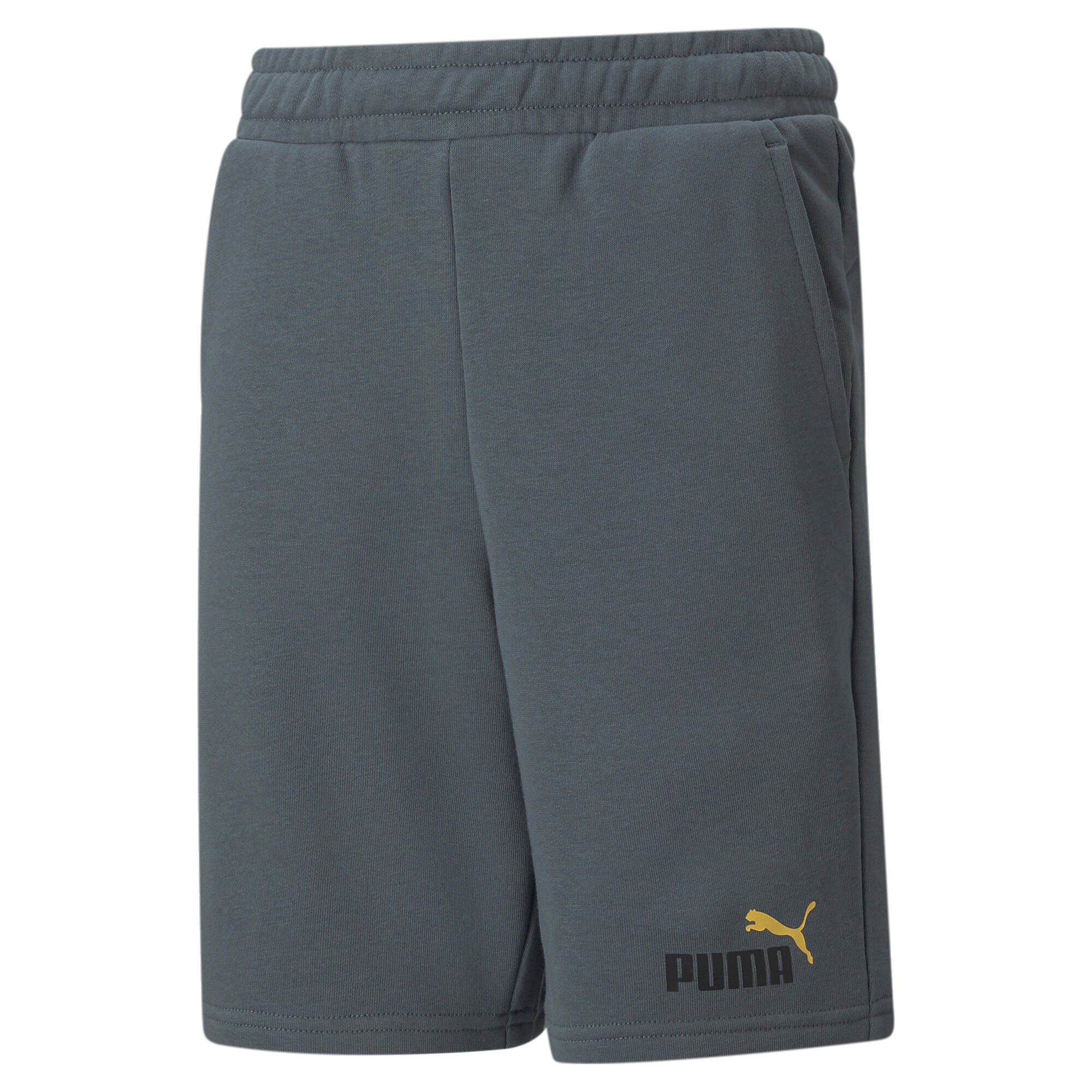 PUMA picture