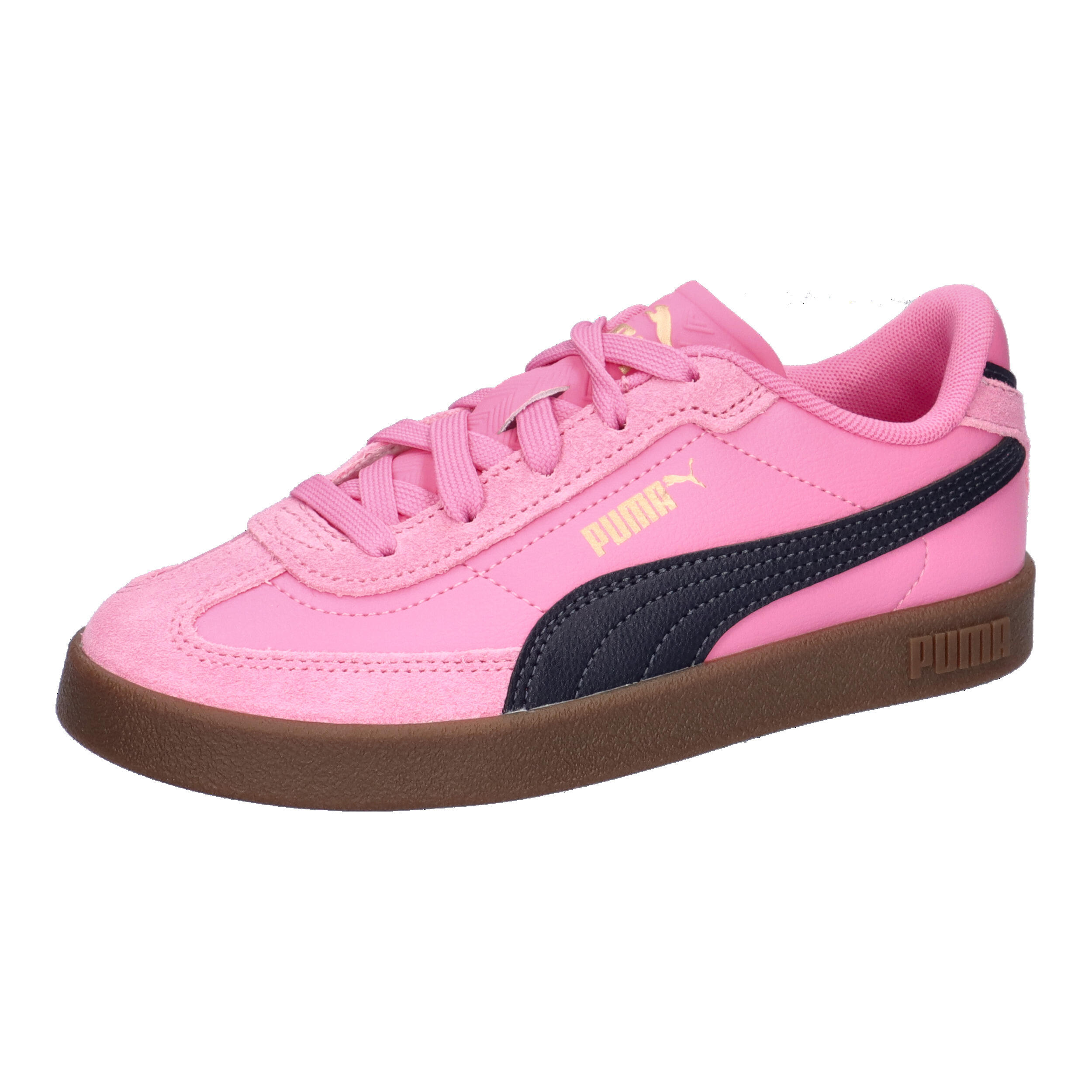 PUMA picture