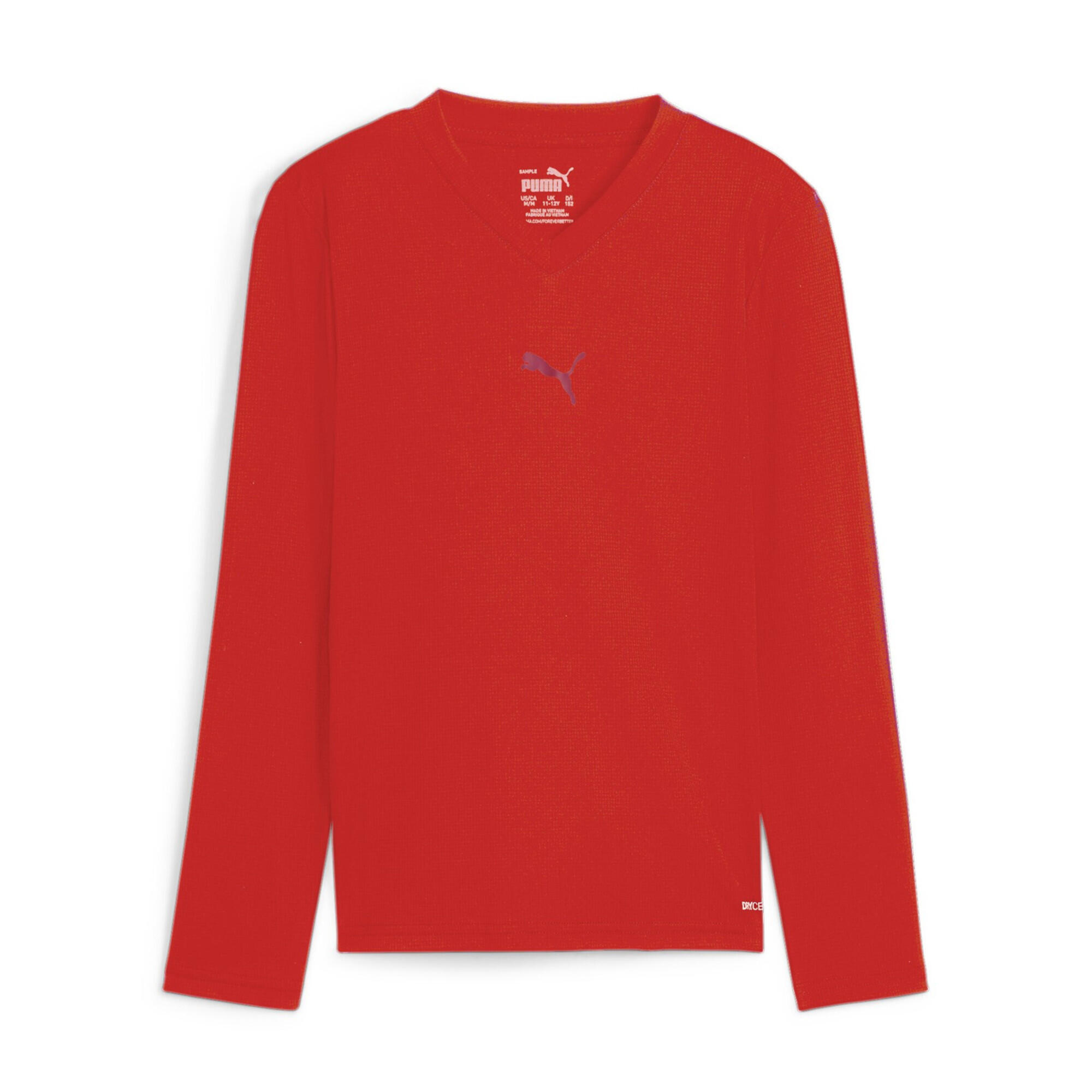 PUMA picture