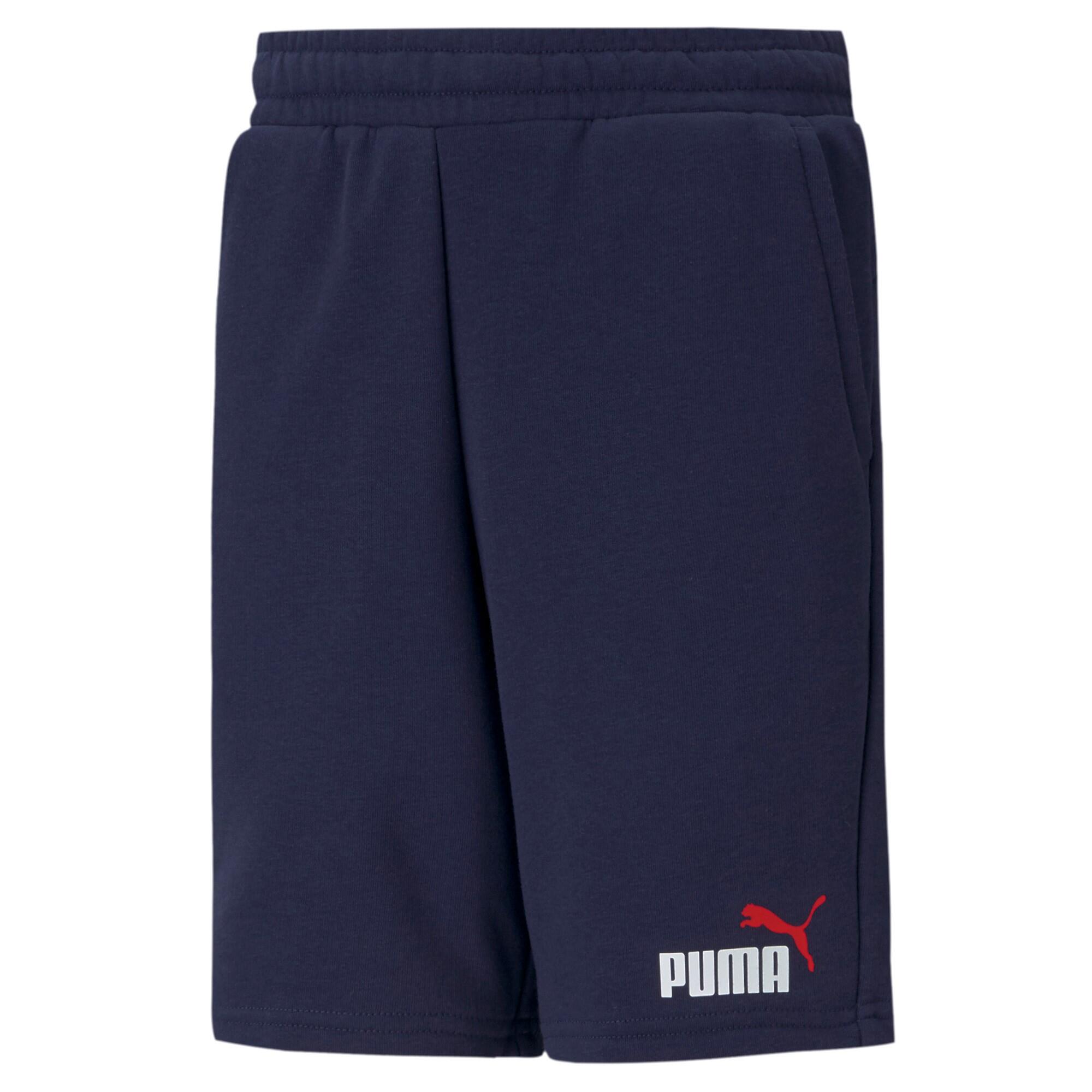 PUMA picture