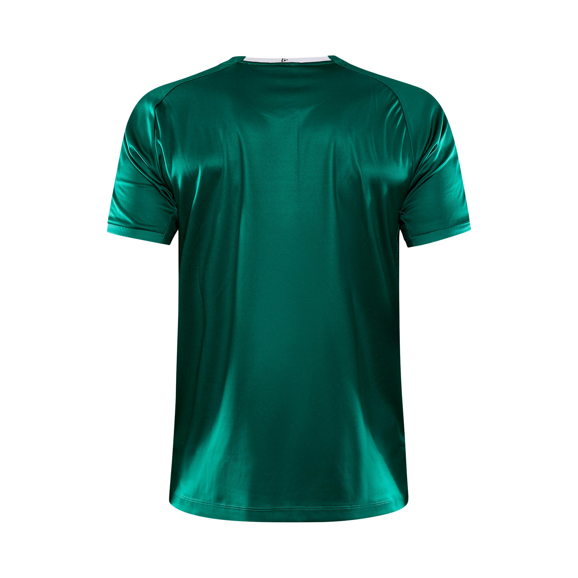 Craft Herren Trikot Progress 2.0 Stripe Jersey 1910175 2/2