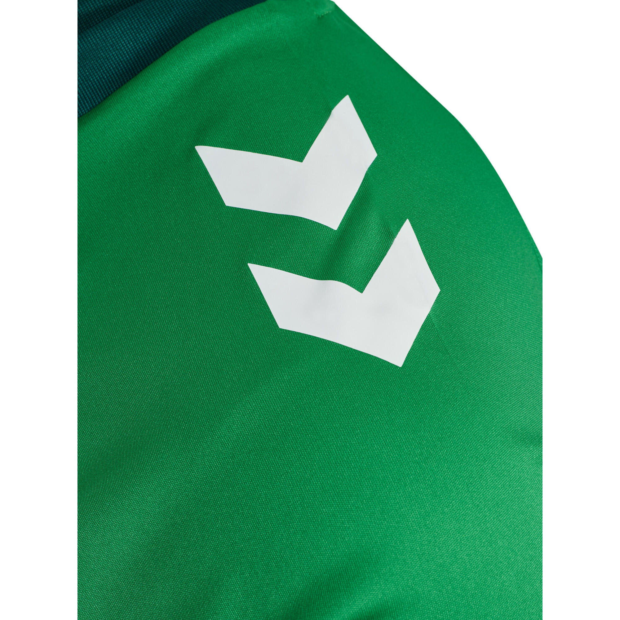 Children's jersey Hummel Triumph 13/13