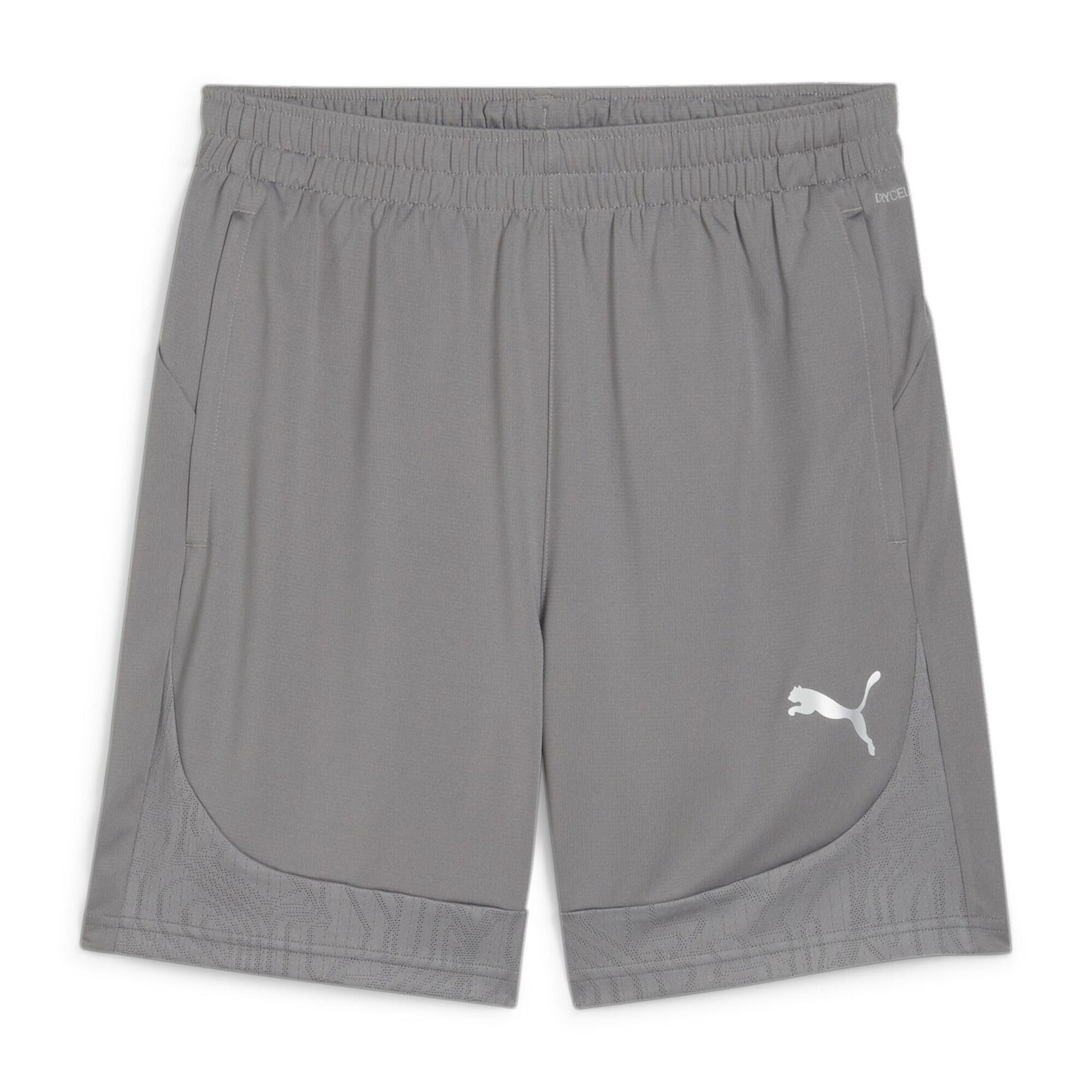 Short d'entraînement Puma Team Final Hommes - Gris 1/2
