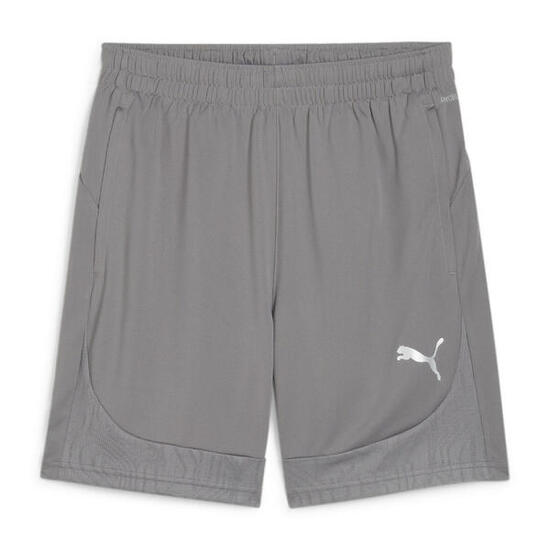 Short d'entraînement Puma Team Final Hommes - Gris