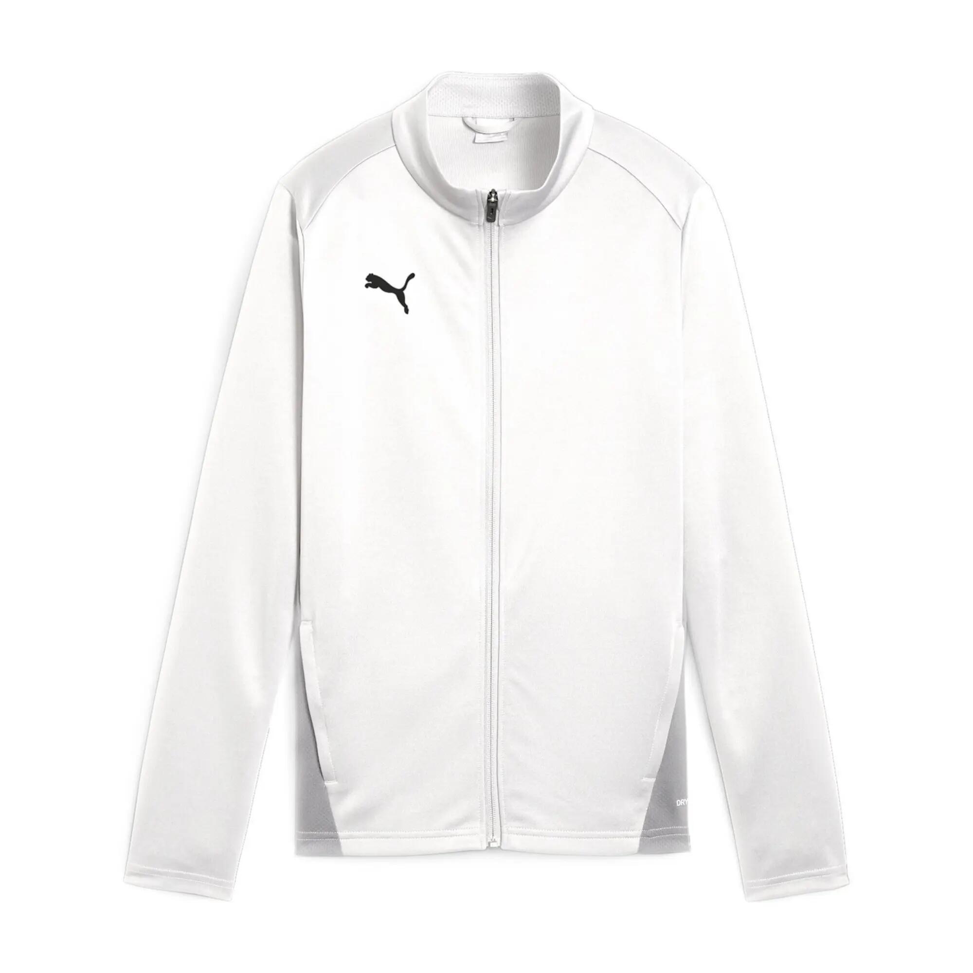 PUMA picture