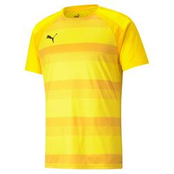 Maillot Puma Team Vision
