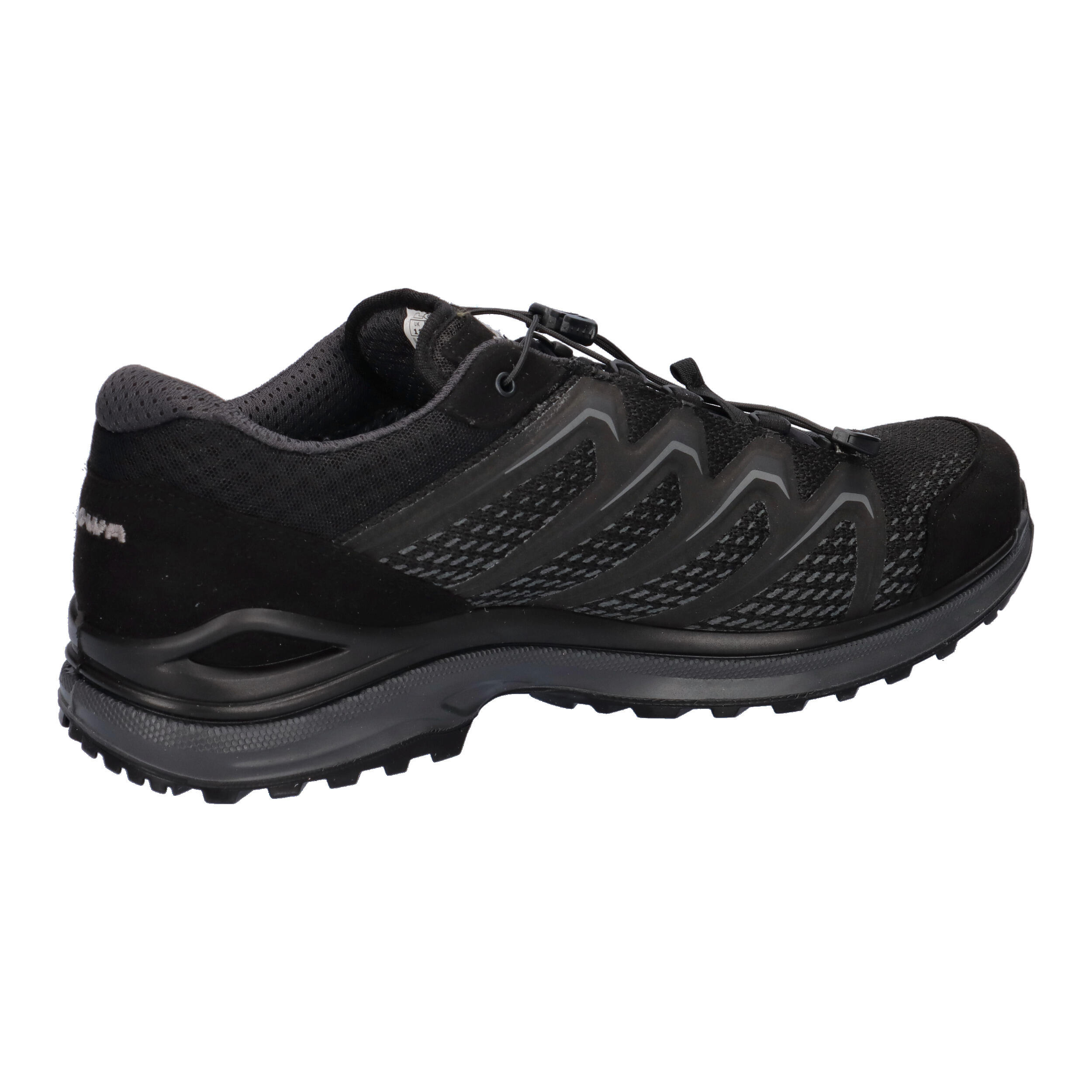 Lowa Herren Wanderschuhe Maddox GTX LO TF 310630 15/15