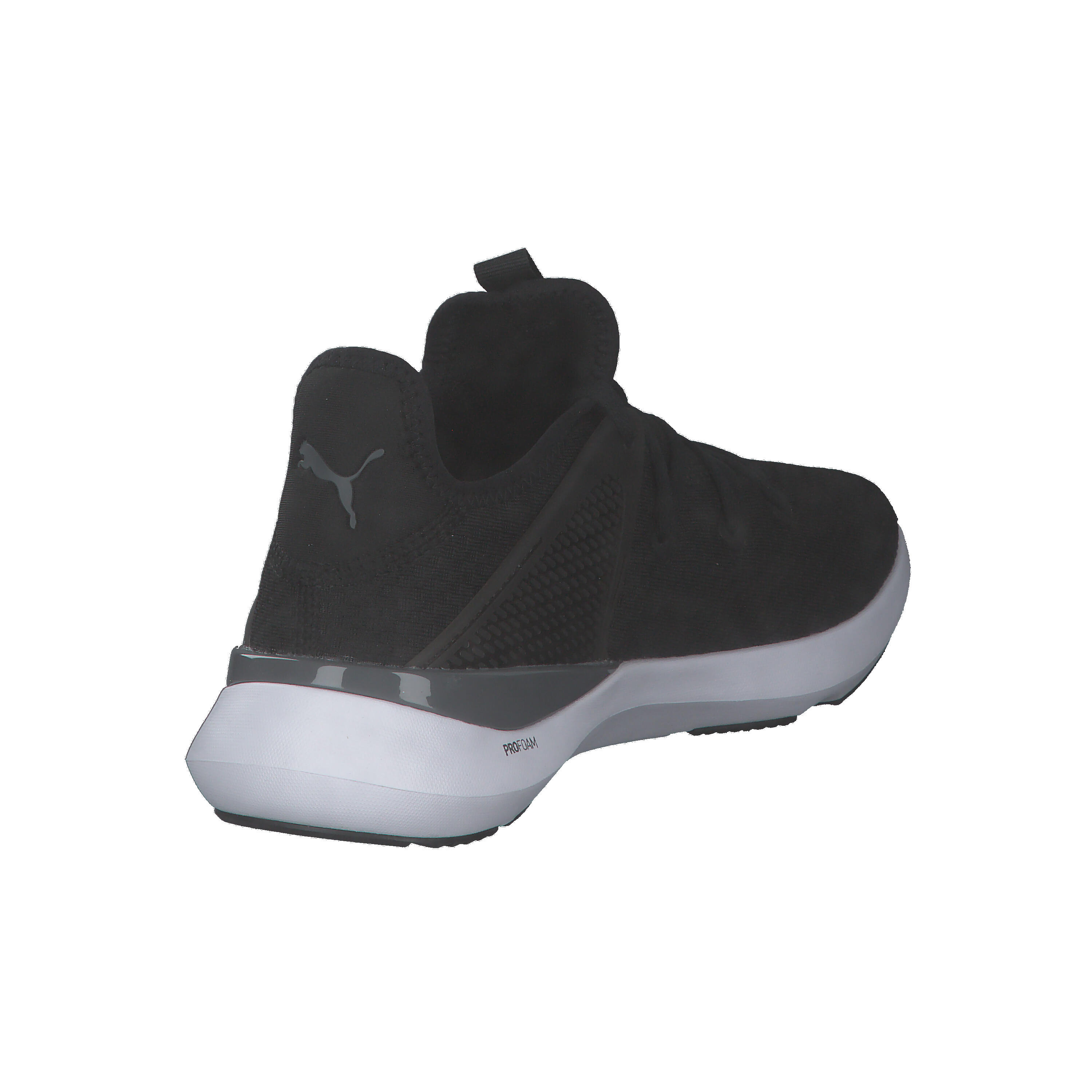 Puma Herren Trainingsschuhe Pure XT Fresh 377276 14/15