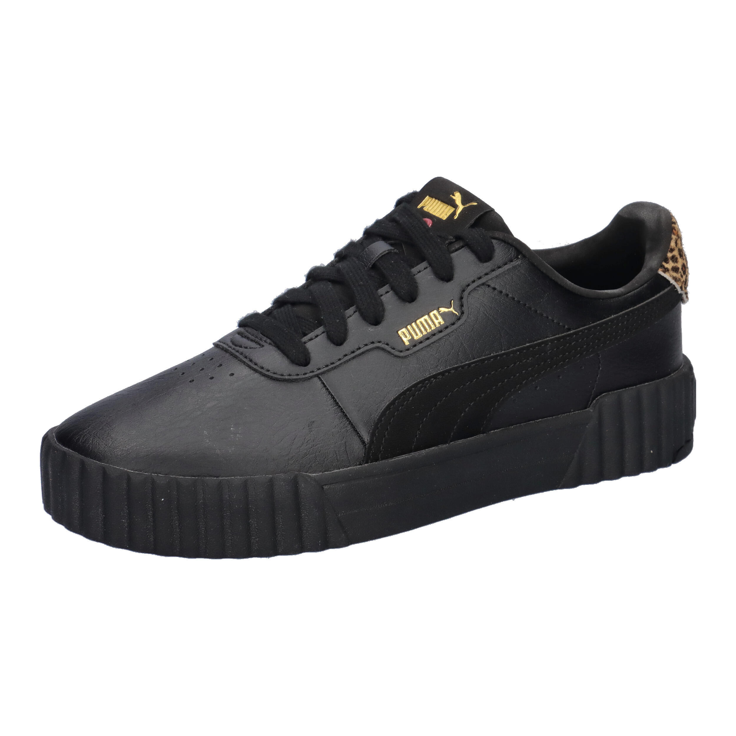 PUMA picture