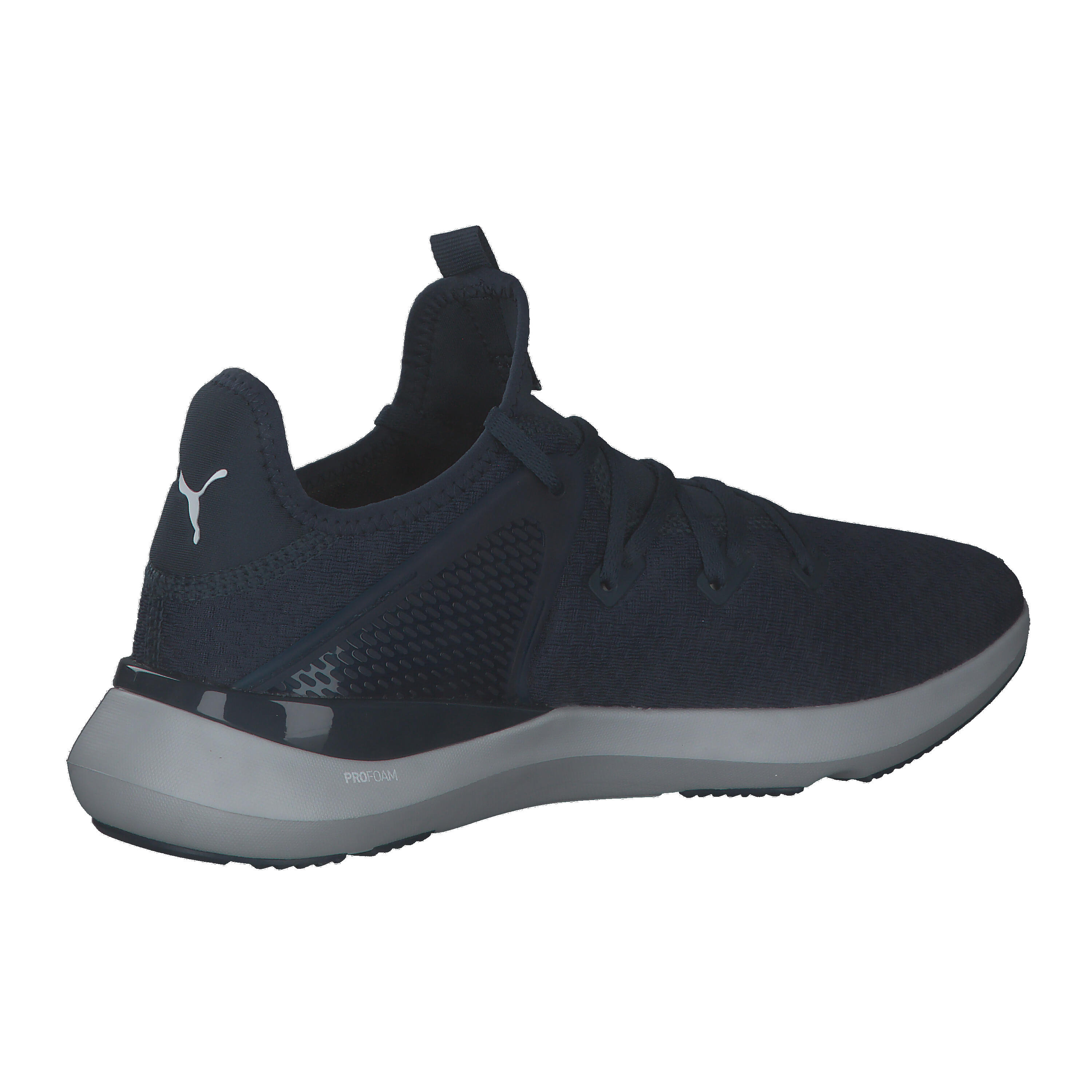 Puma Herren Trainingsschuhe Pure XT Fresh 377276 15/15