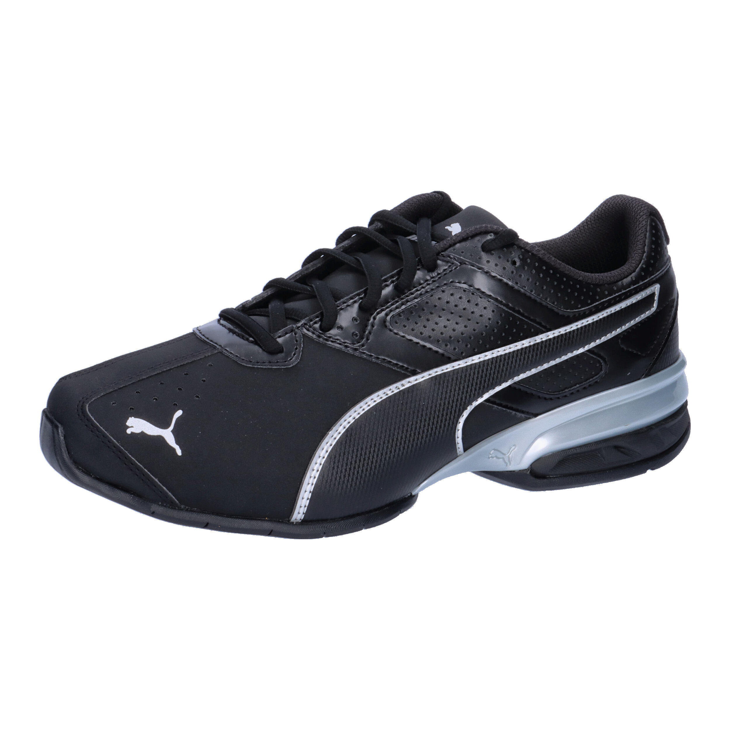 PUMA picture