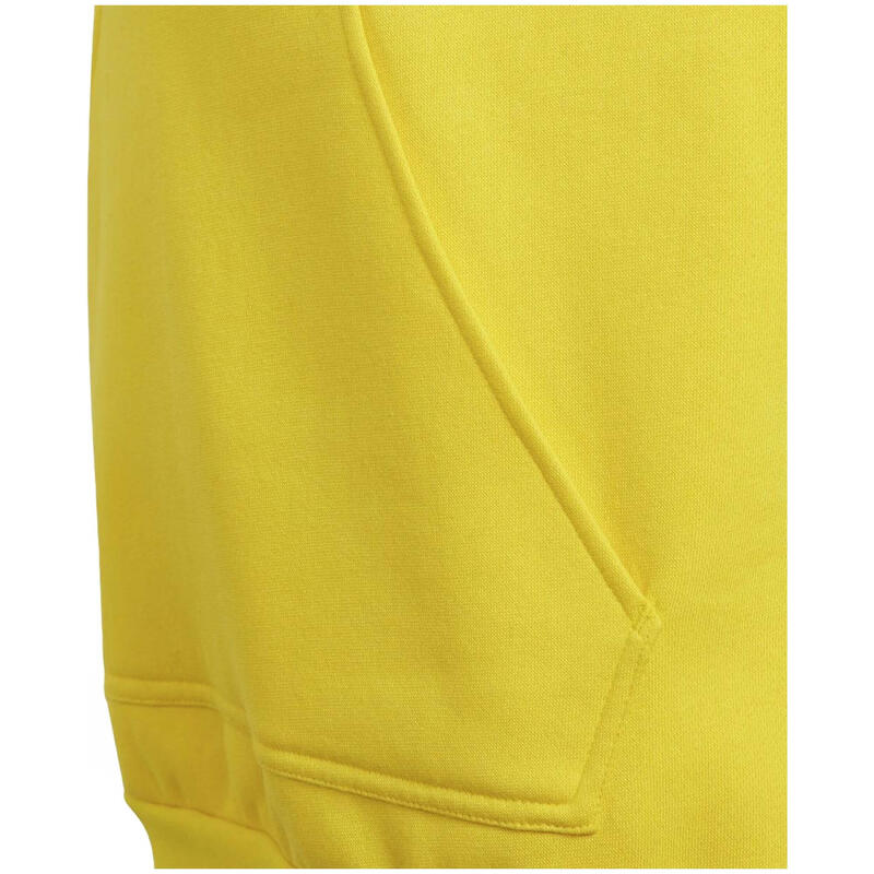 Hanorac pentru copii adidas Entrada 22 Hoody