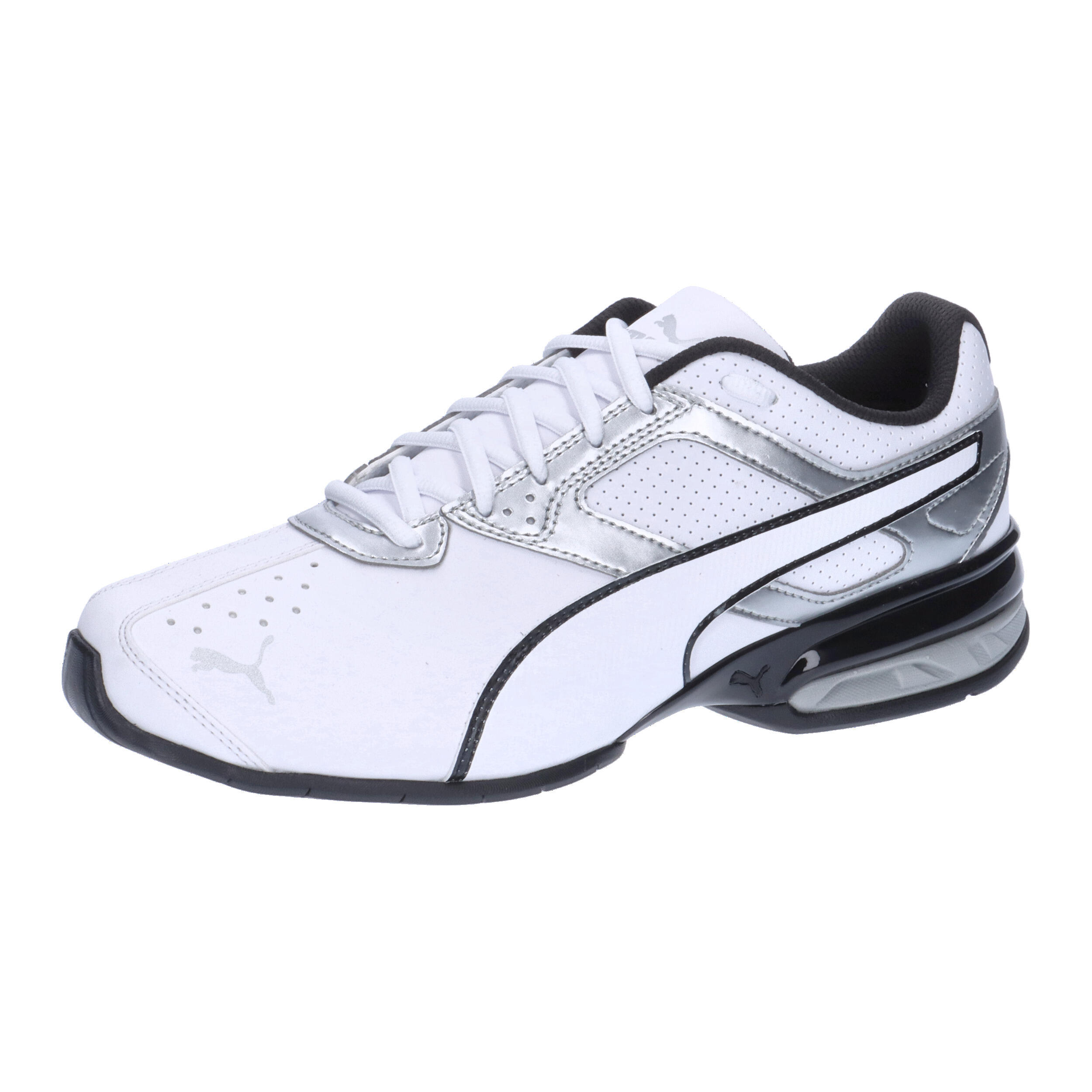 PUMA picture