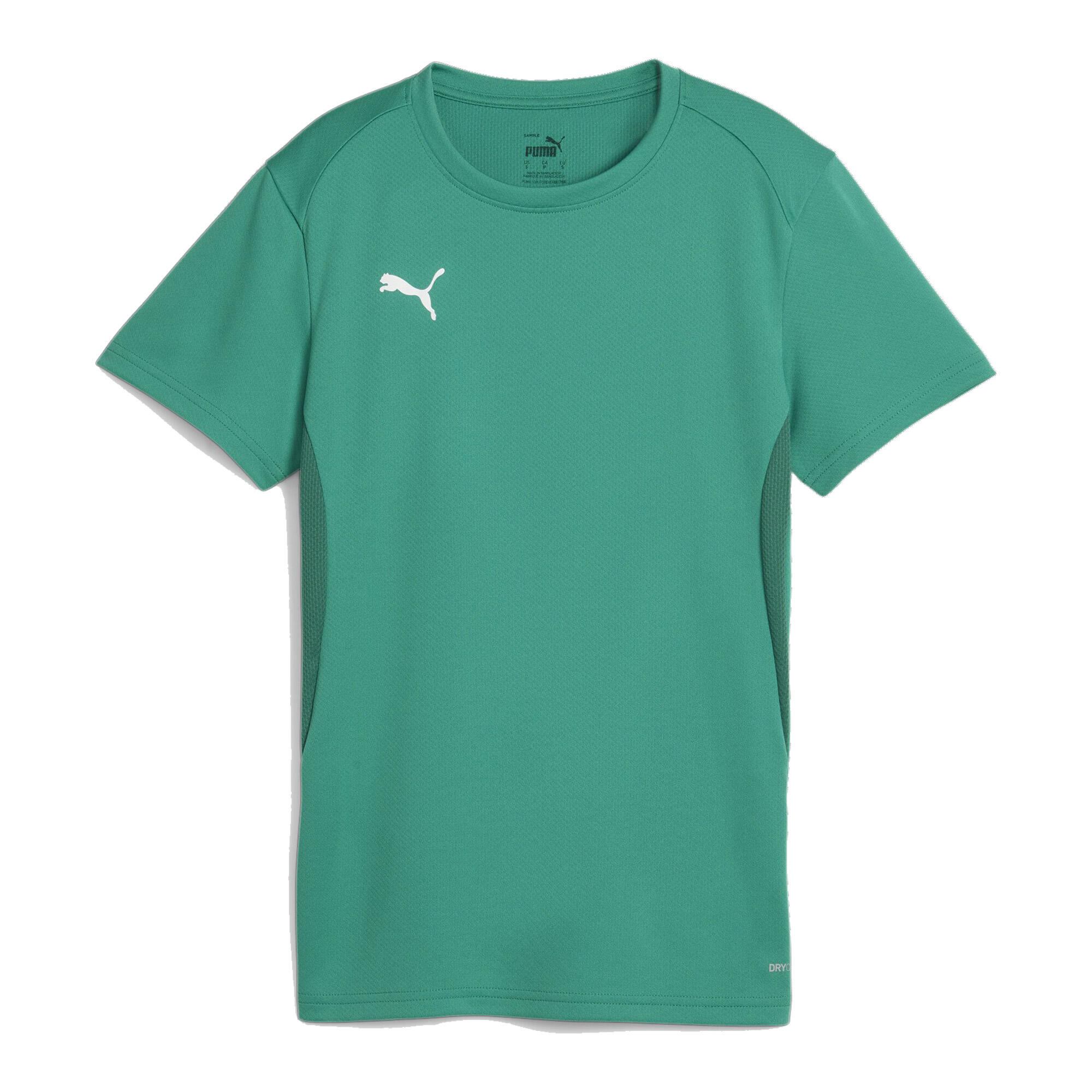 PUMA picture