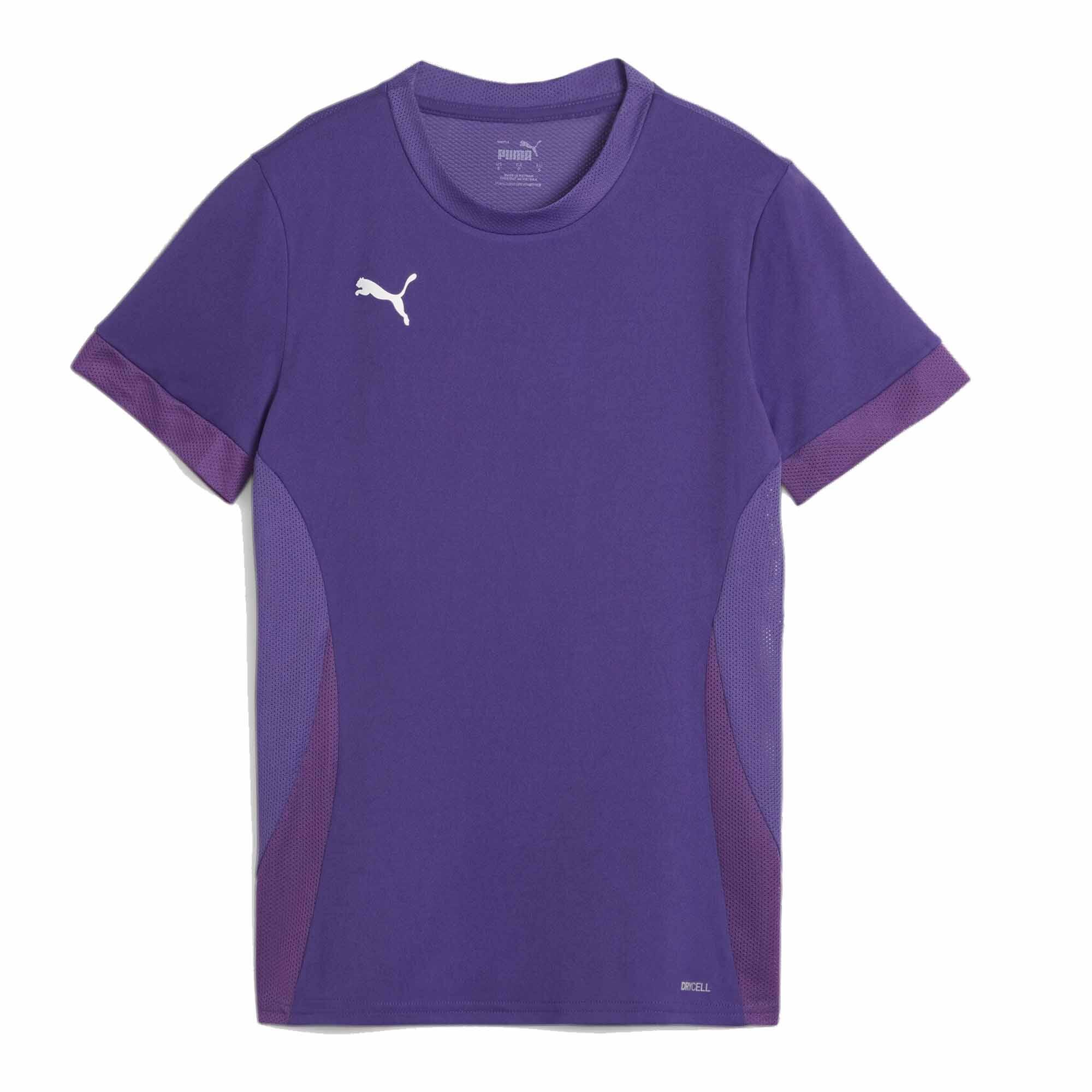 PUMA picture