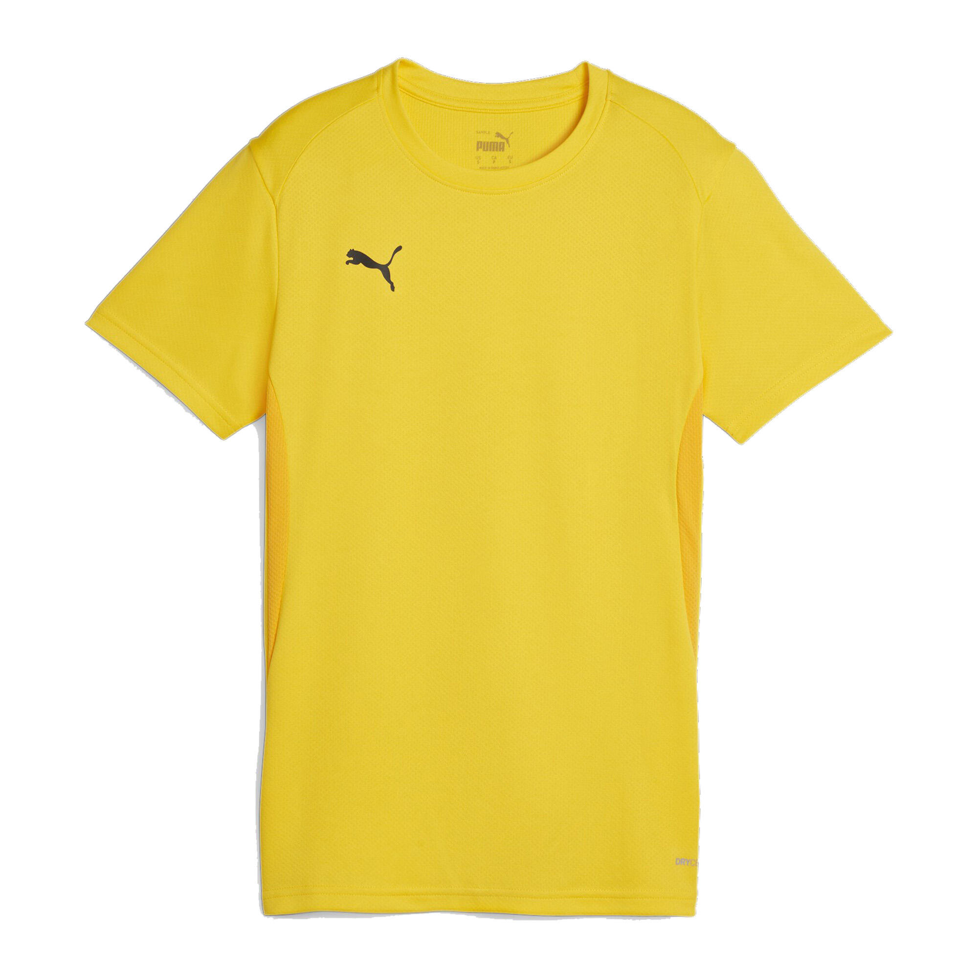 PUMA picture