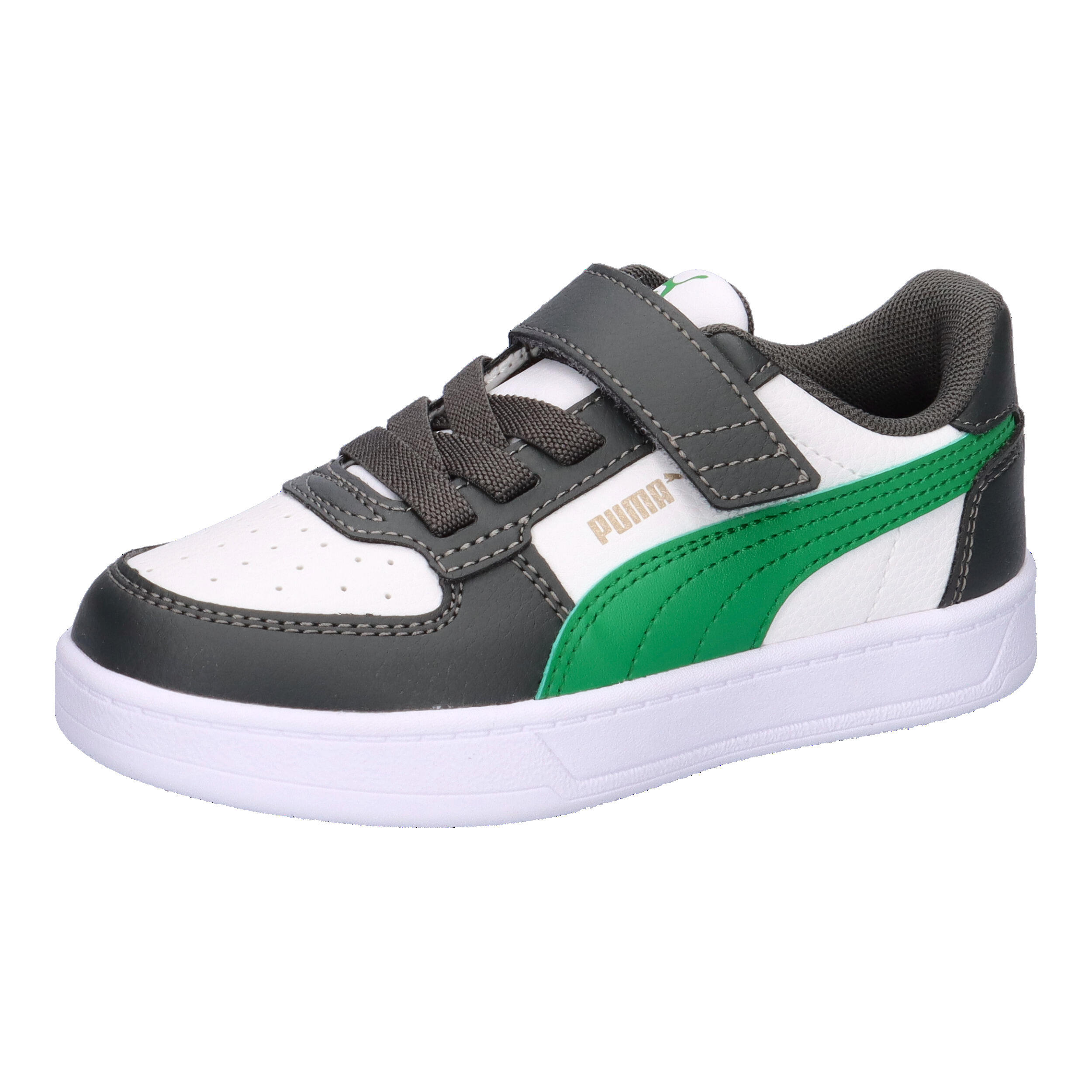 PUMA picture