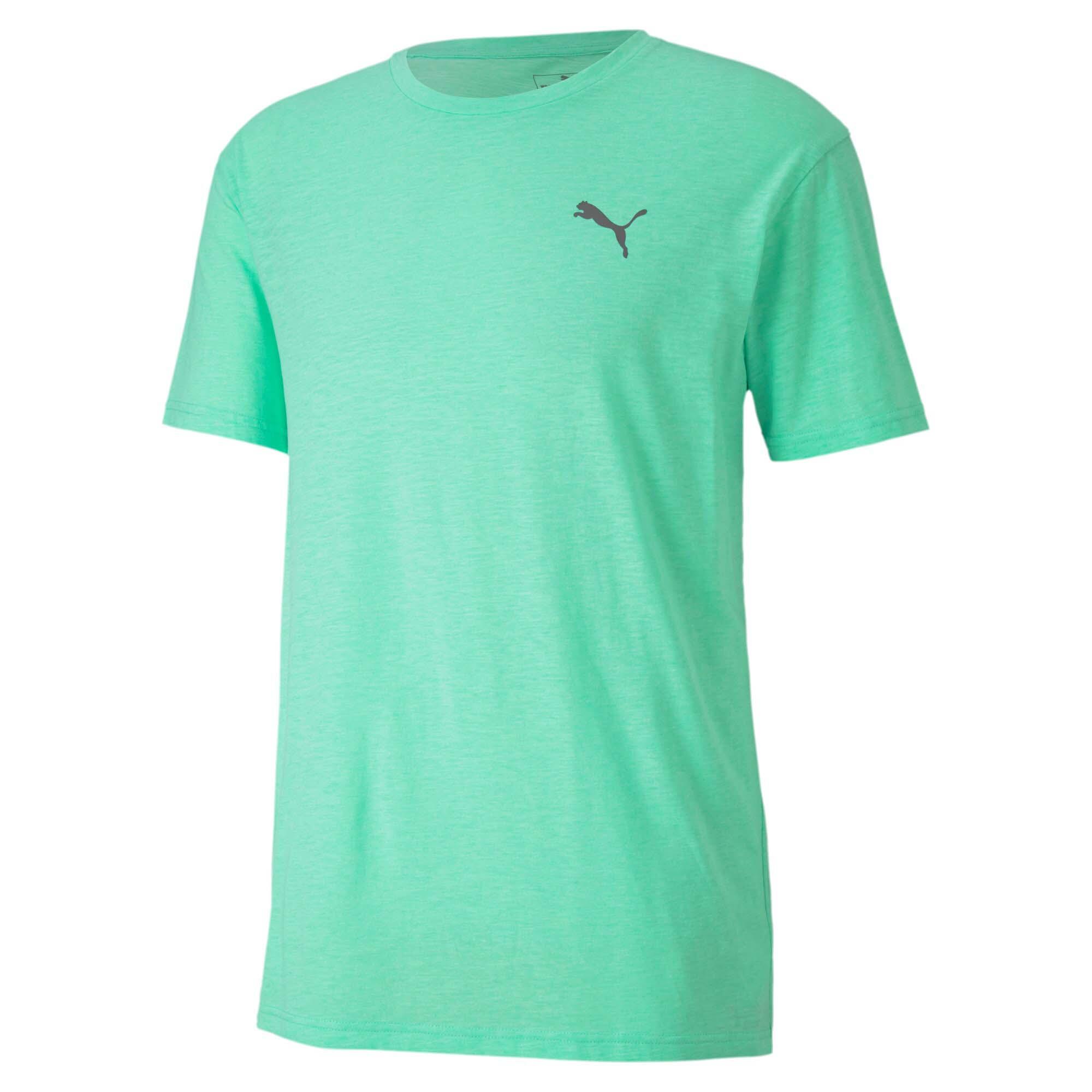 PUMA picture