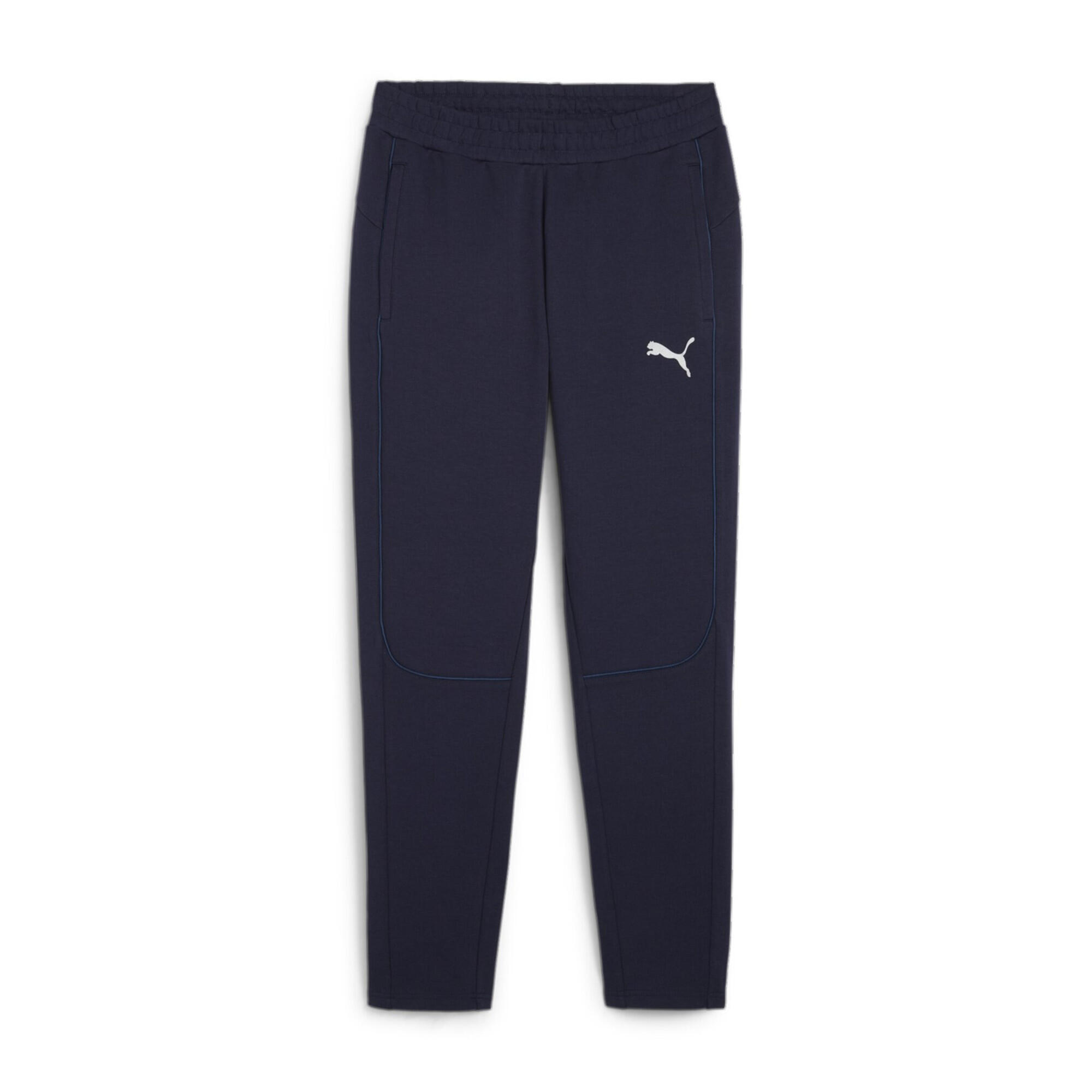 PUMA picture