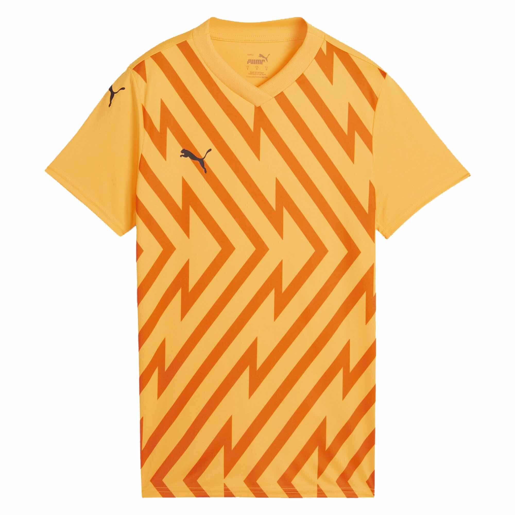 PUMA picture