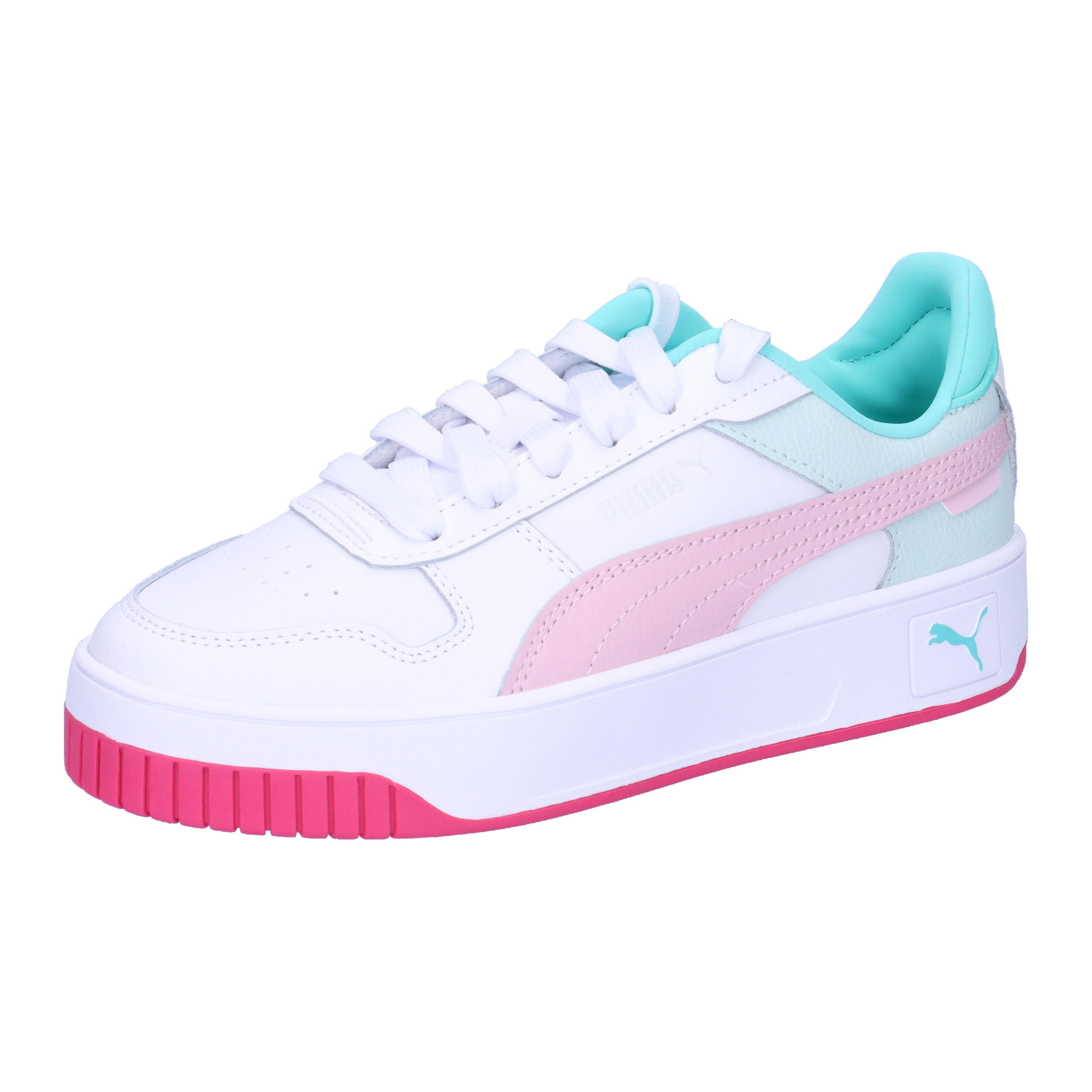 PUMA picture