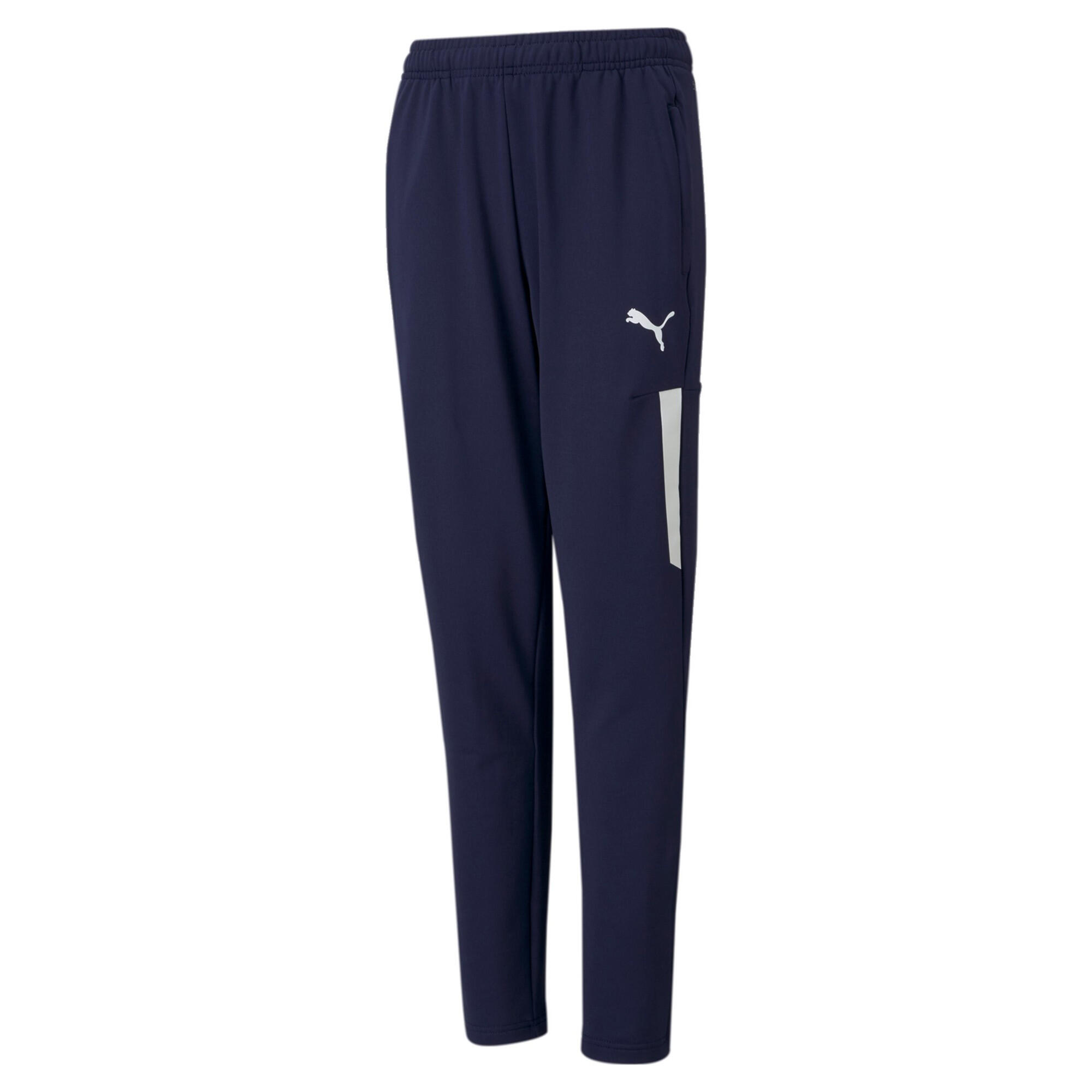 PUMA picture