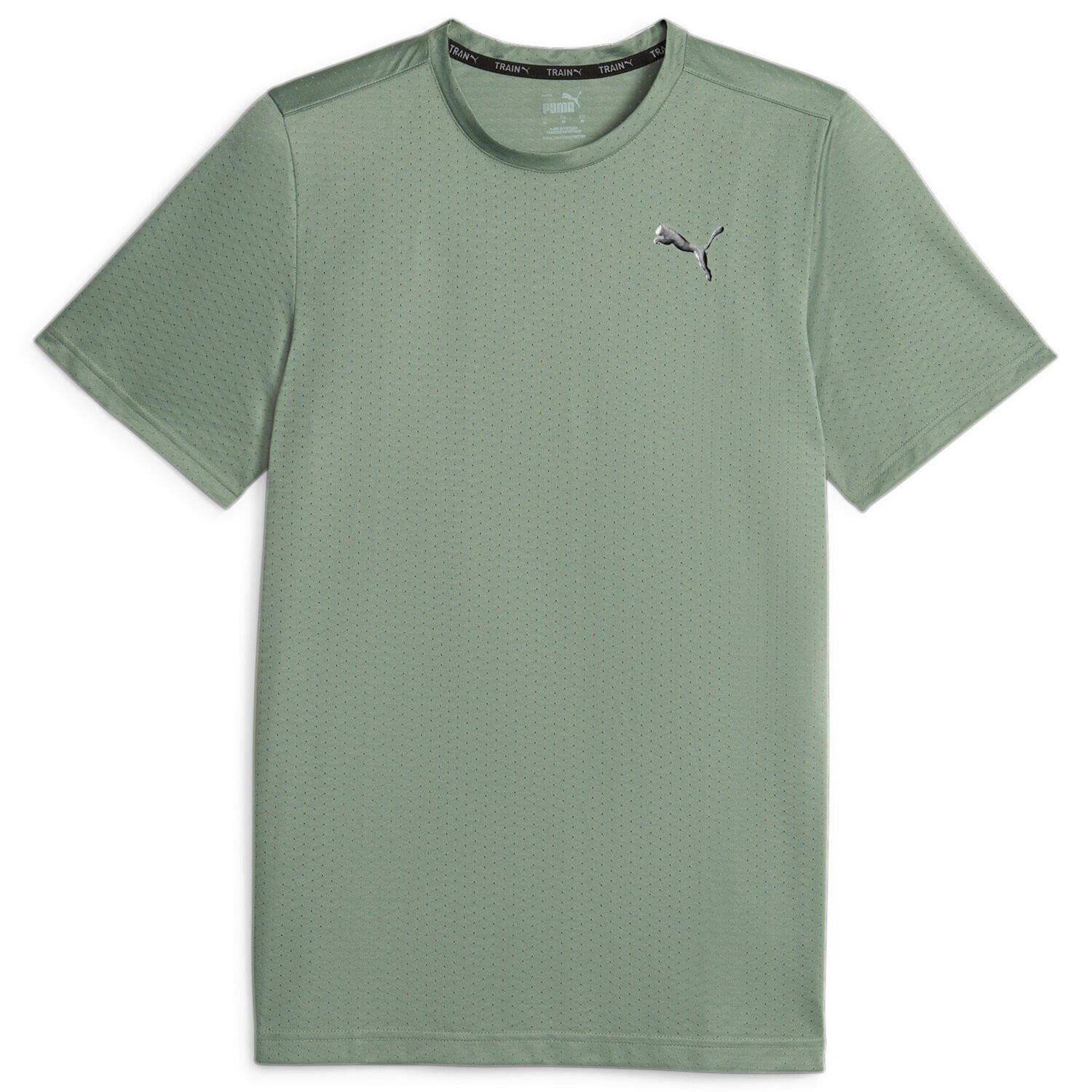 PUMA picture
