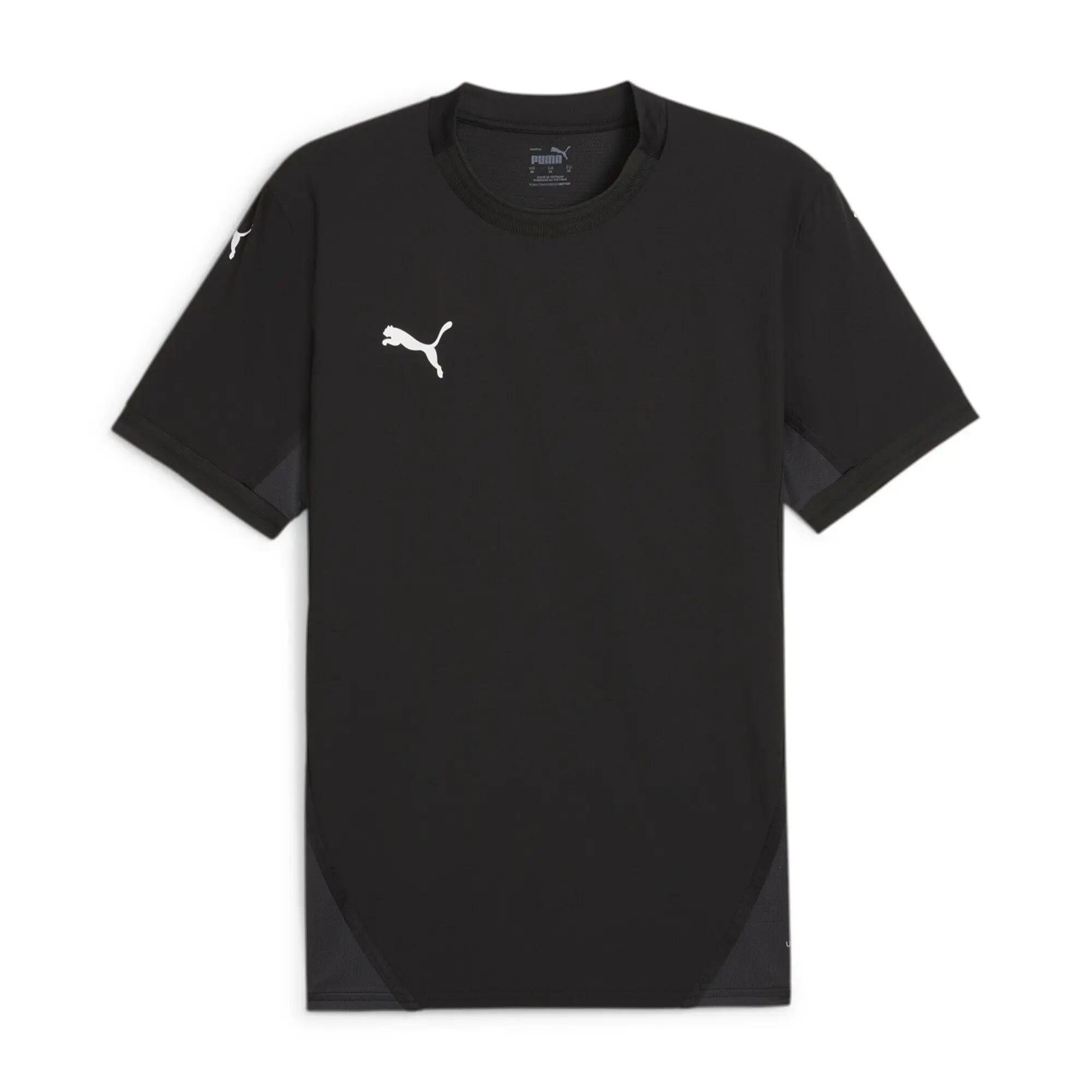 PUMA picture