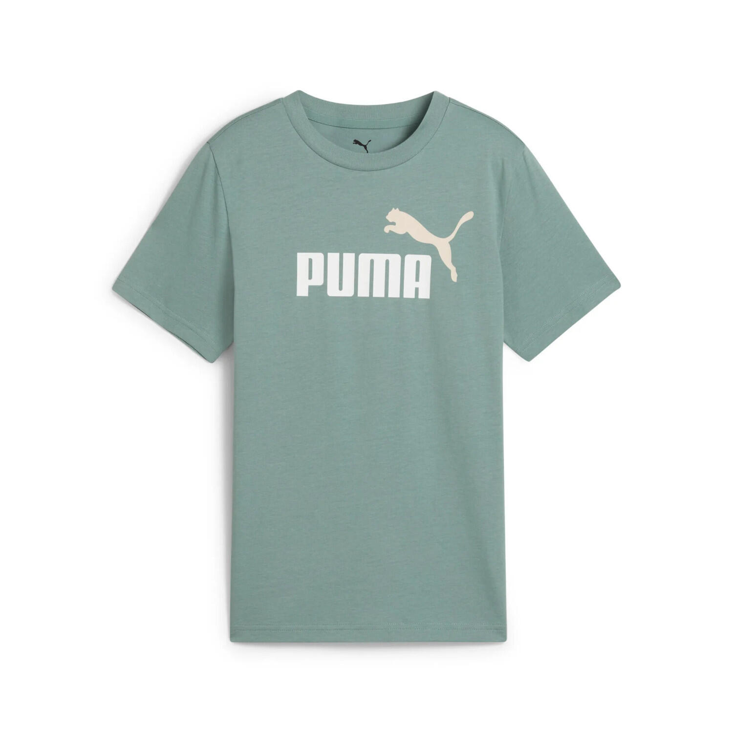 PUMA picture