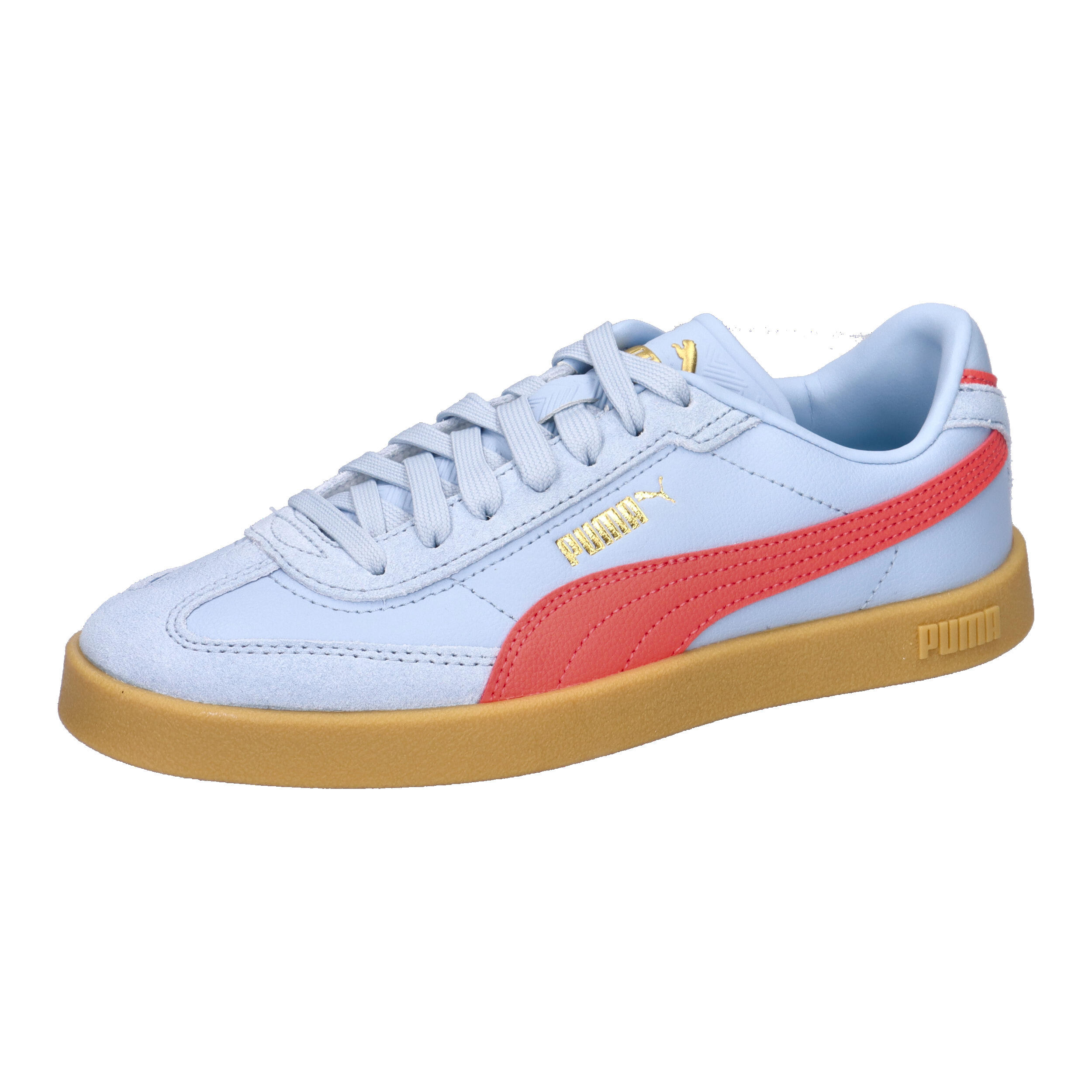 PUMA picture