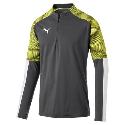 Puma Herren Pullover Cup Training 1/4 Zip Top 656016