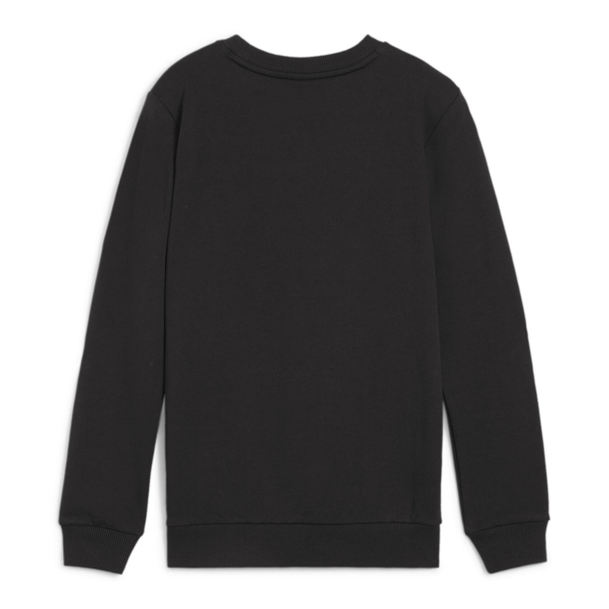 Bluza dziecięca Puma teamGOAL Casuals 3/3