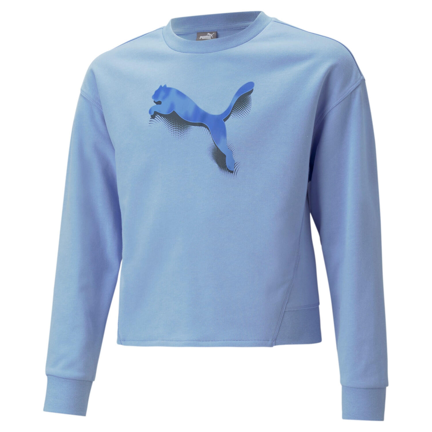 PUMA picture