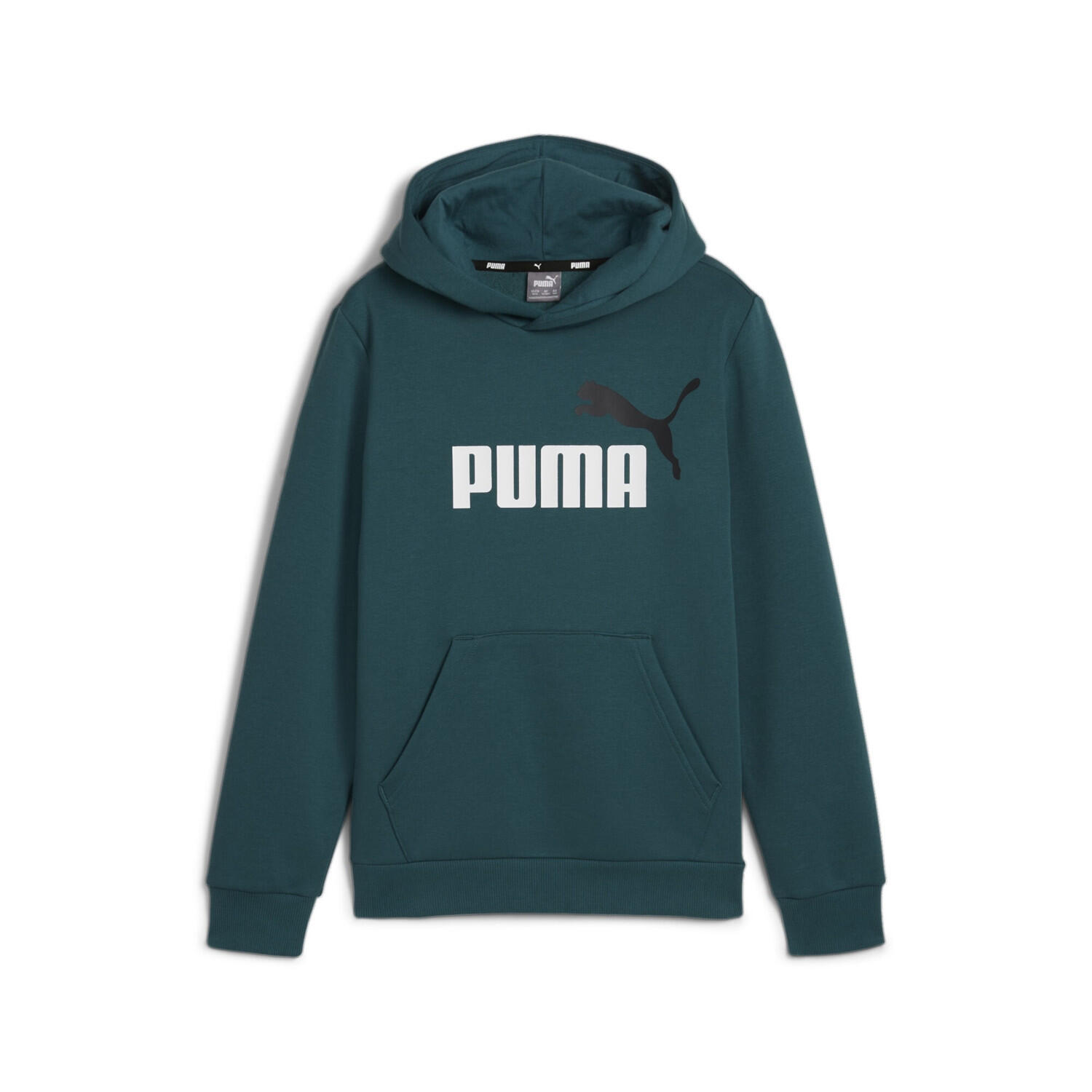 PUMA picture
