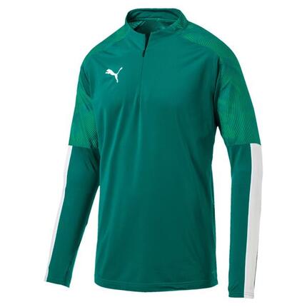 Puma Herren Pullover Cup Training 1/4 Zip Top 656016