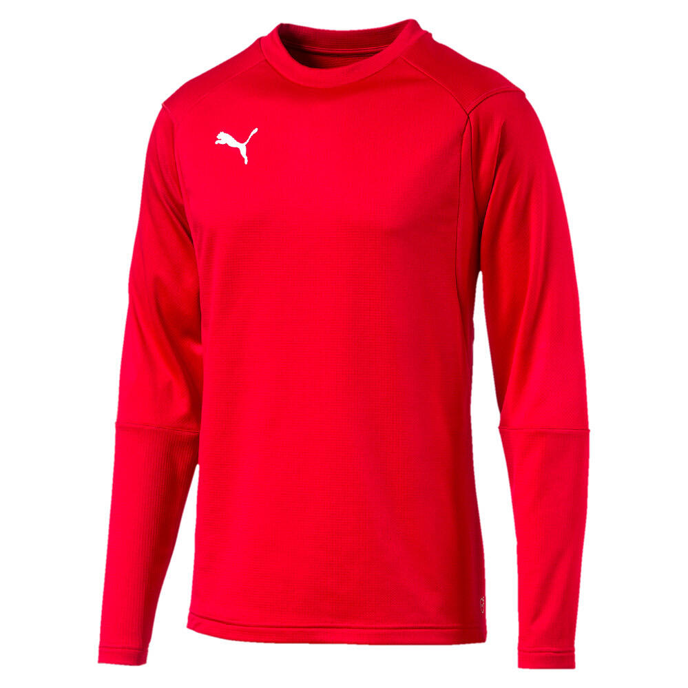 PUMA picture