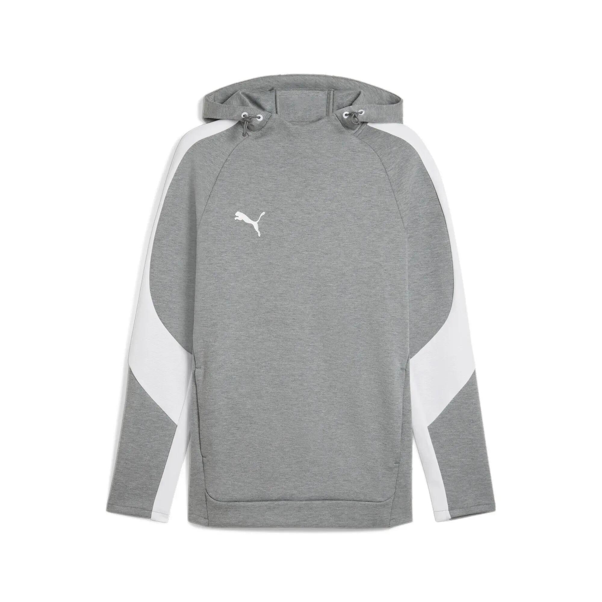 PUMA picture