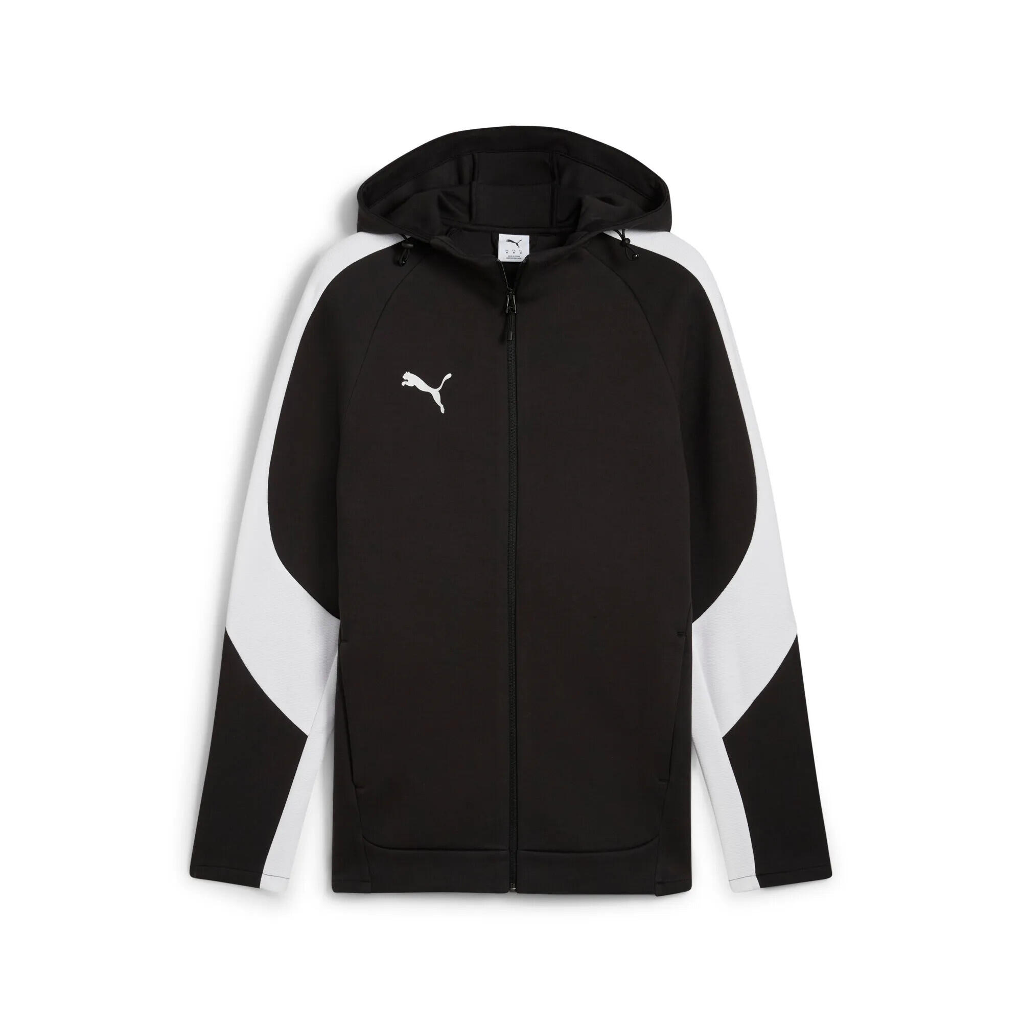 PUMA Hooded sweatshirt Puma TeamEvostripe