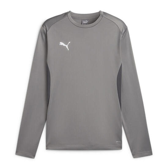 Puma Herren Pullover teamGOAL Training Sweat 658649