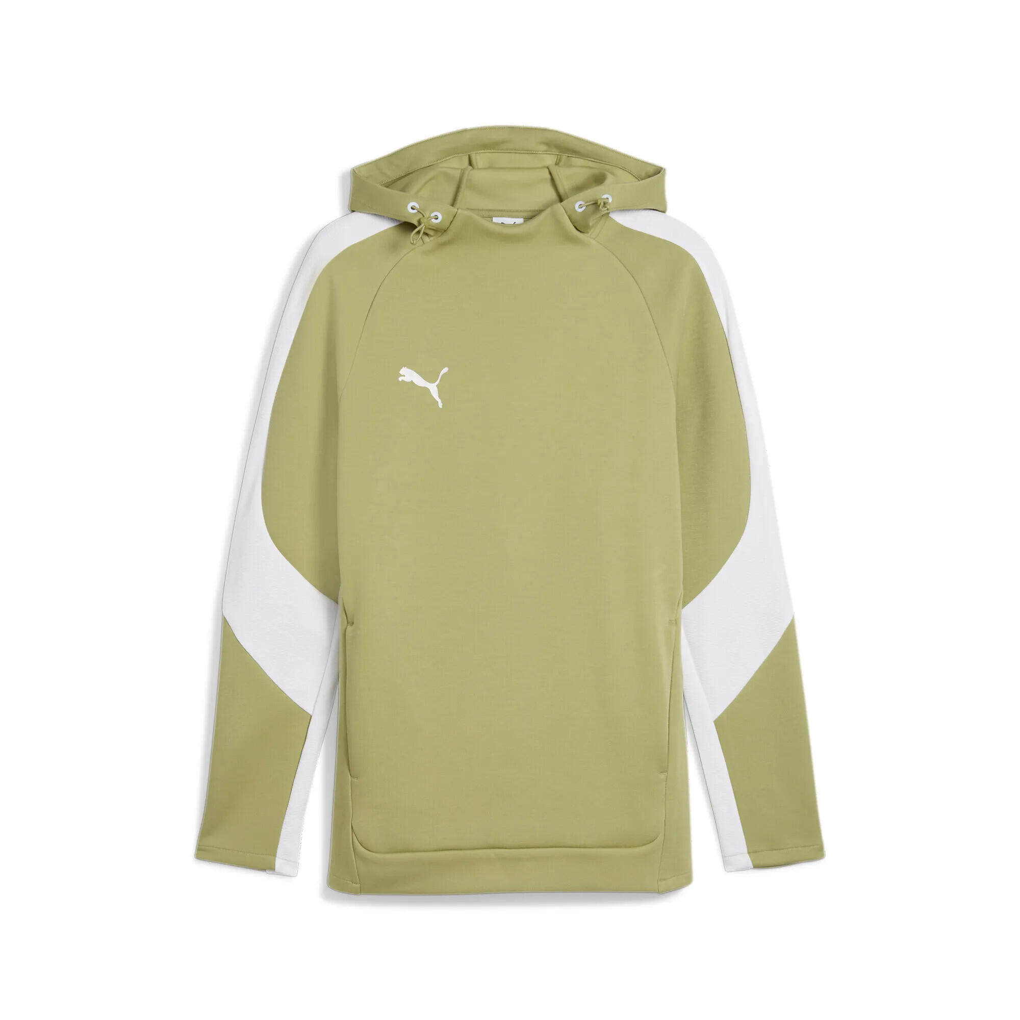 PUMA picture