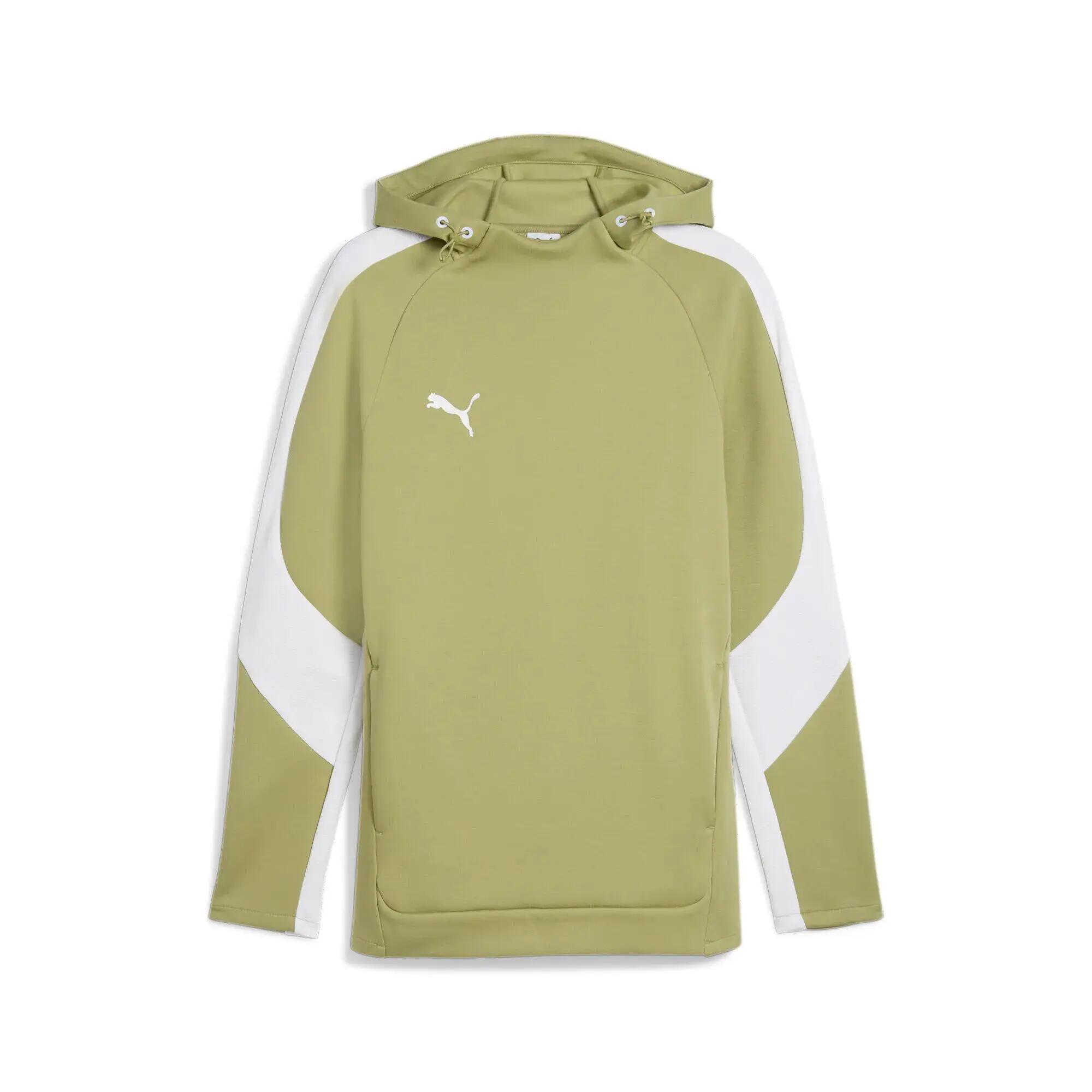 PUMA picture