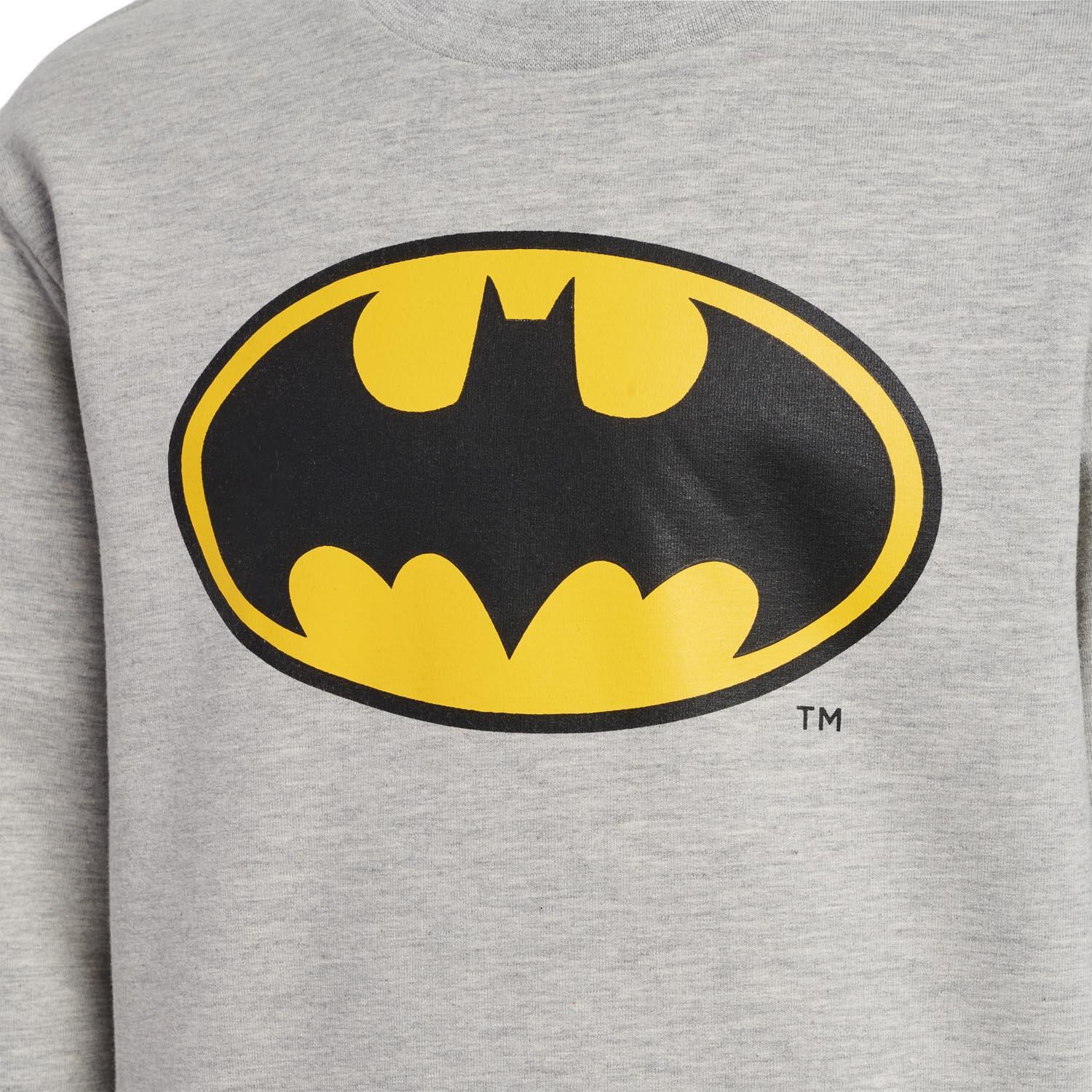 Hummel Kinder Pullover hmlBatman Dos Sweatshirt 220510 4/7