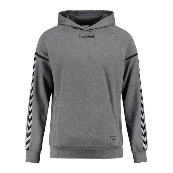 Hummel Herren Kapuzenpullover Authentic Charge Poly Hoodie 33403
