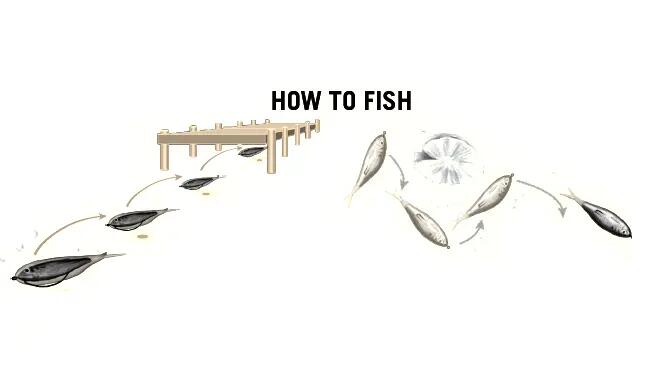 SHAD LIVE TARGET SKIP SHAD SHAD SOFT JERKBAIT 9CM 134 SILVER/PEARL, 4 BUC / PLIC 2/2