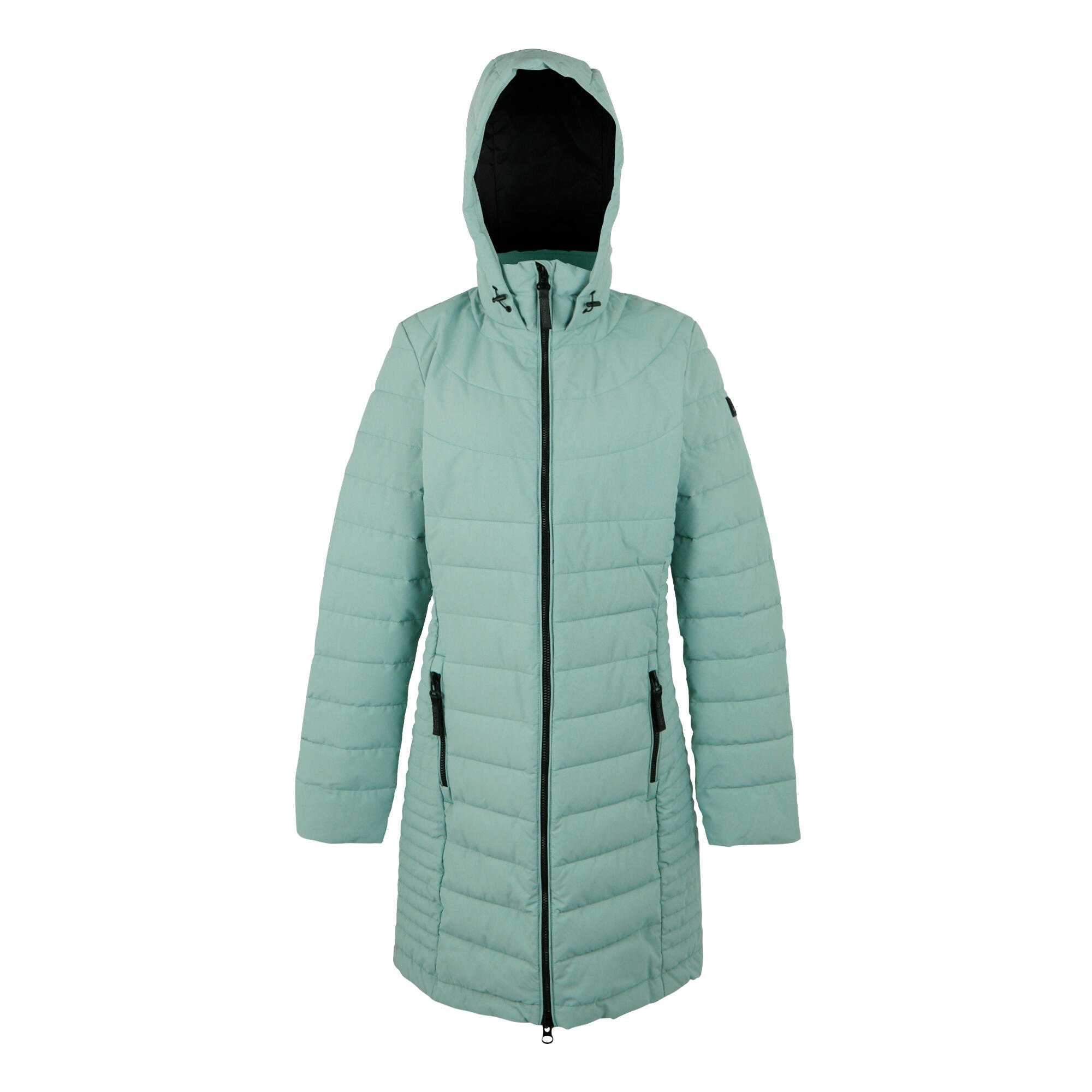 REGATTA Womens/Ladies Andria Padded Jacket (Green Haze)