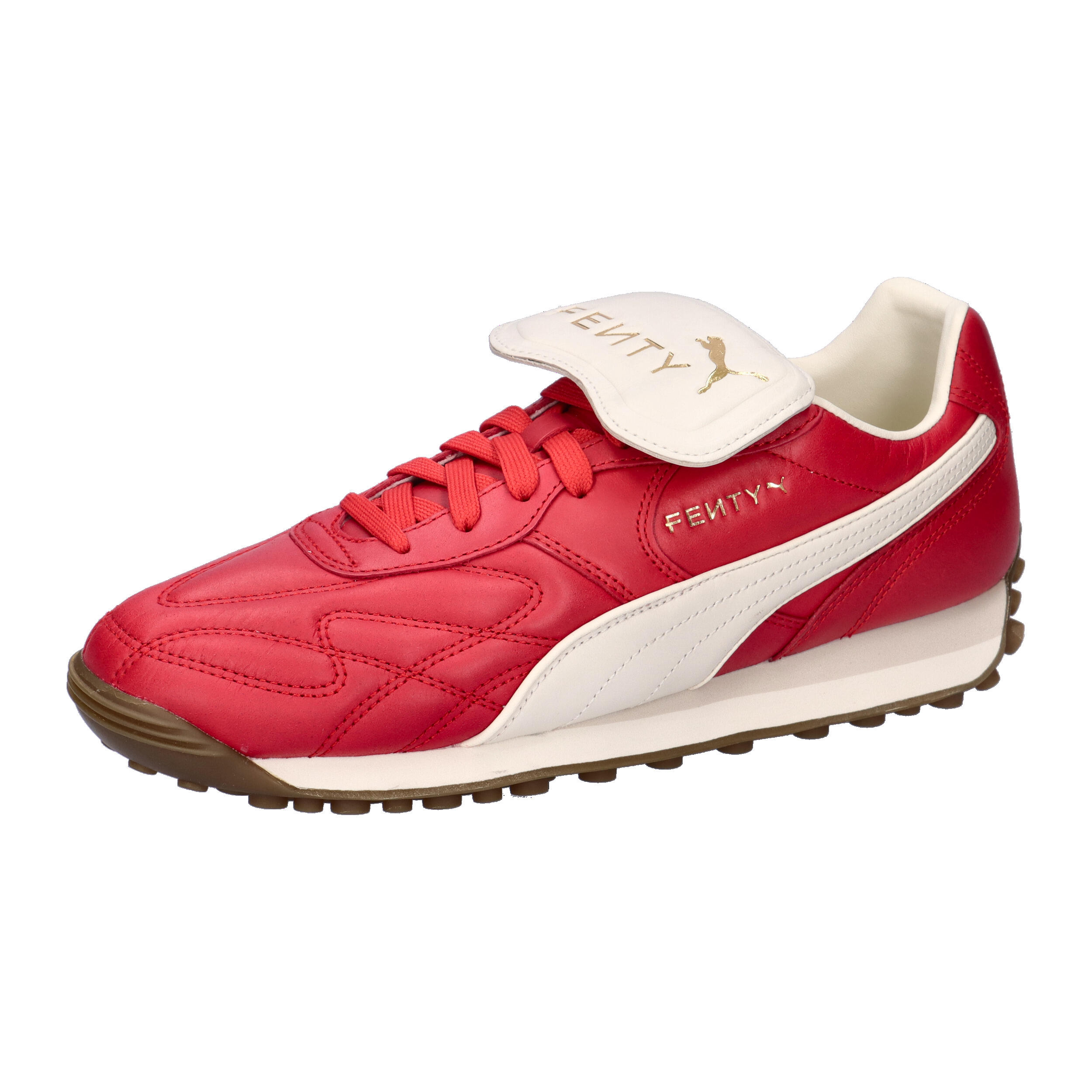 PUMA picture