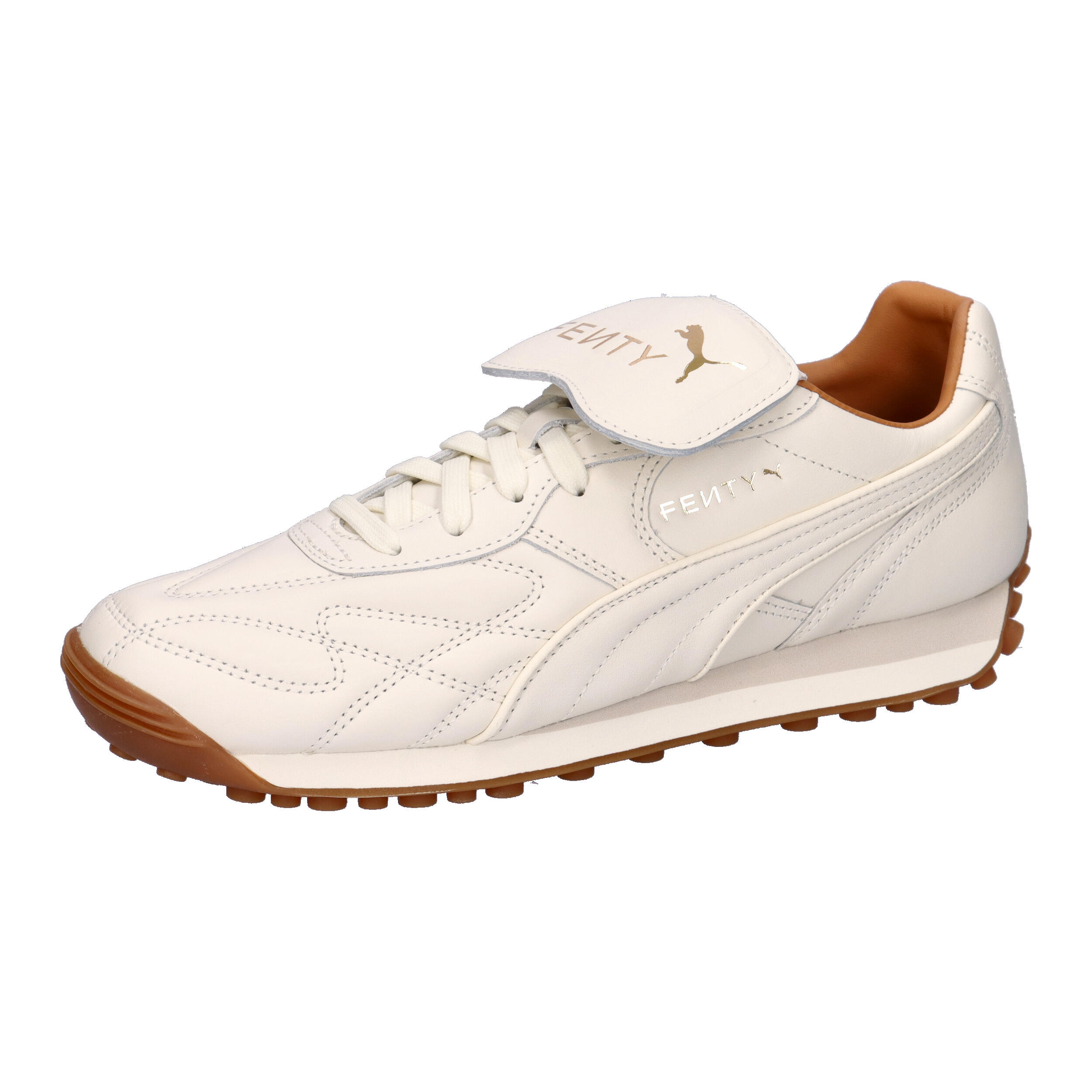 PUMA picture