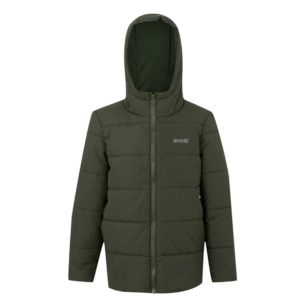 REGATTA Childrens/Kids Halkner Padded Jacket (Olive Night)