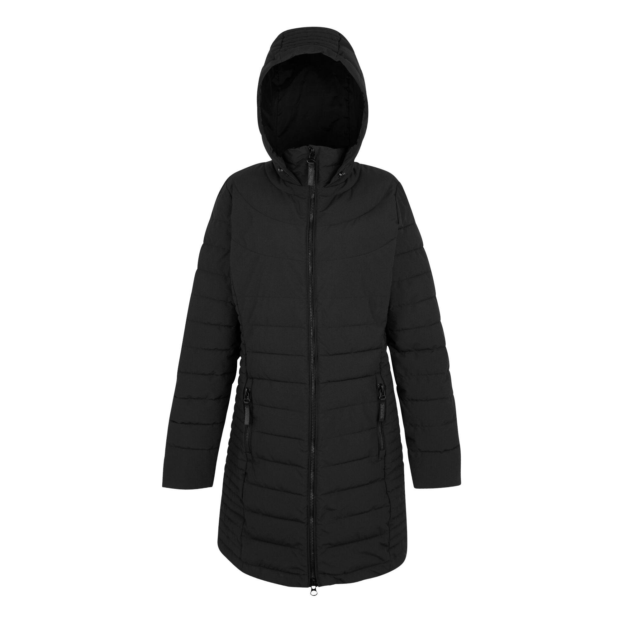 REGATTA Womens/Ladies Andria Padded Jacket (Black)