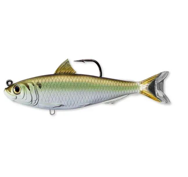 LIVE TARGET picture